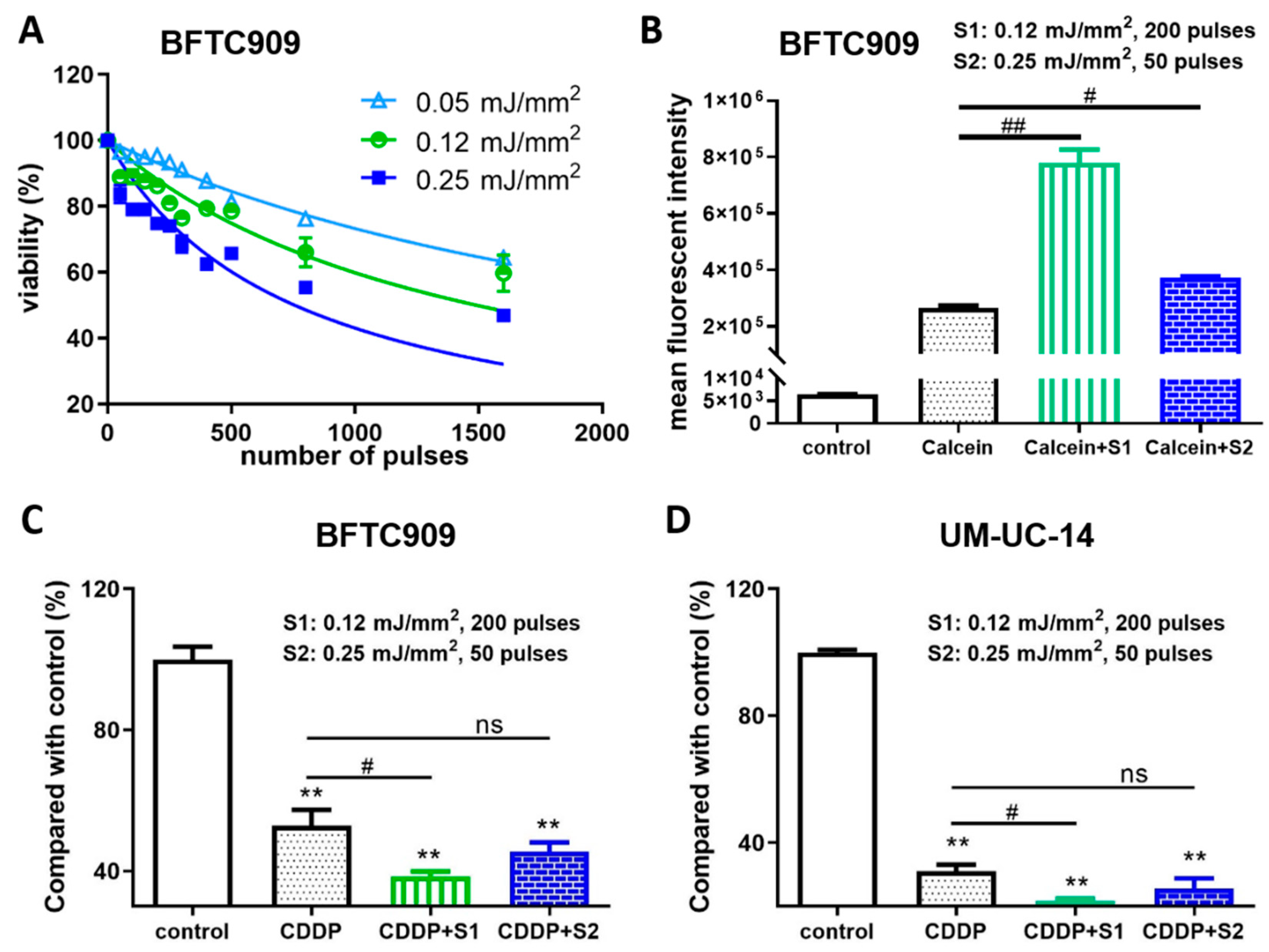 Cancers 13 04558 g001