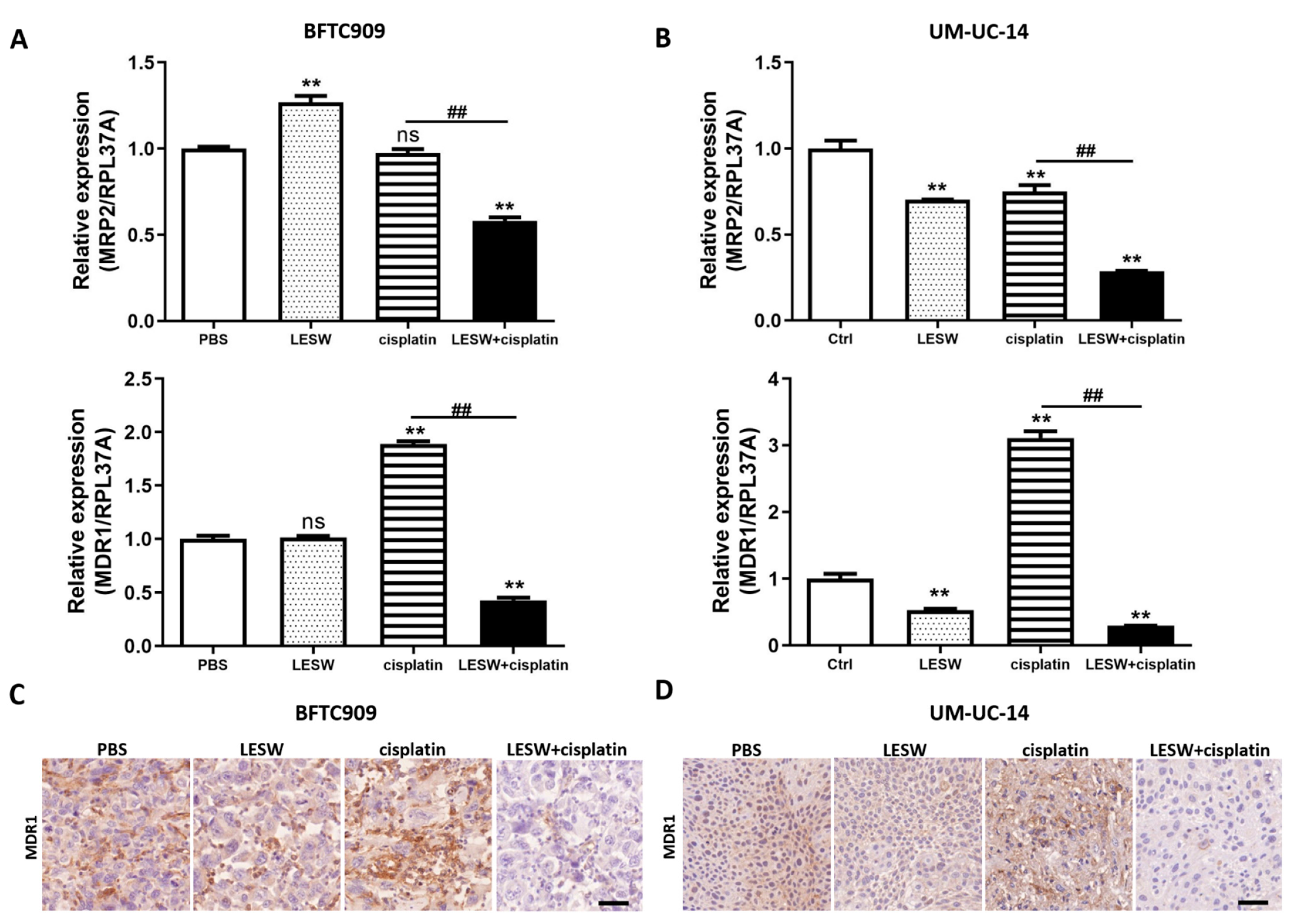 Cancers 13 04558 g005