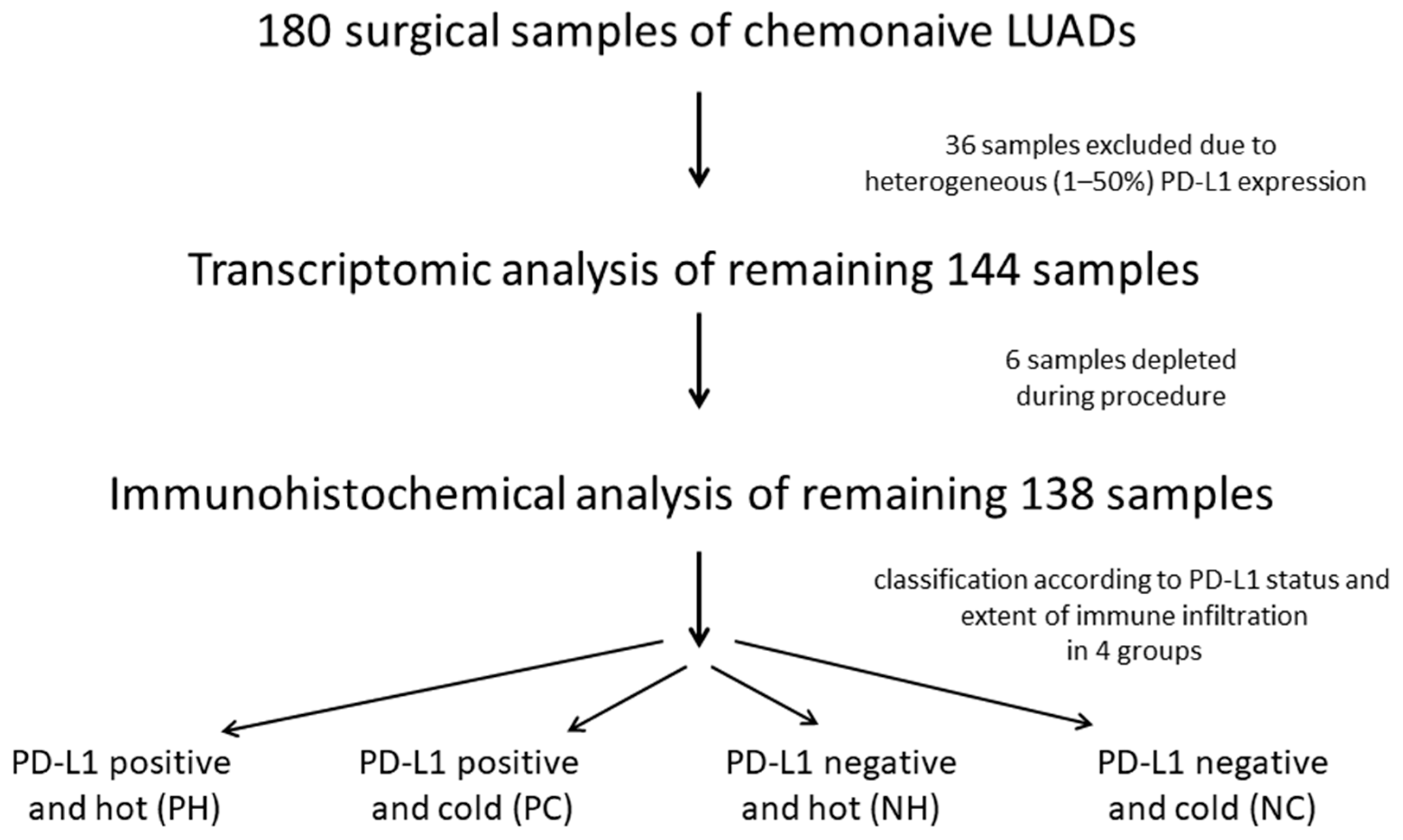 Cancers 13 04562 g001