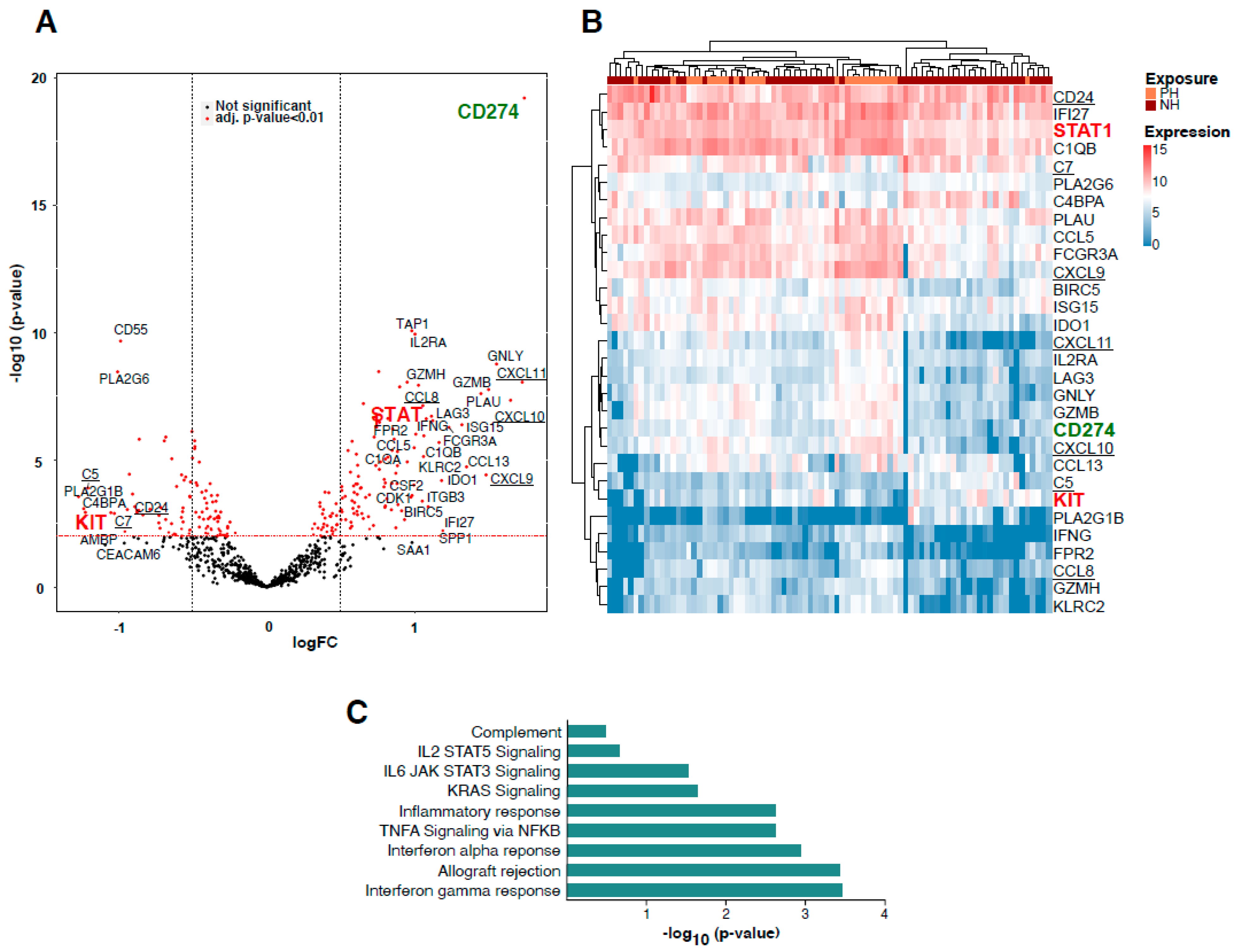 Cancers 13 04562 g004