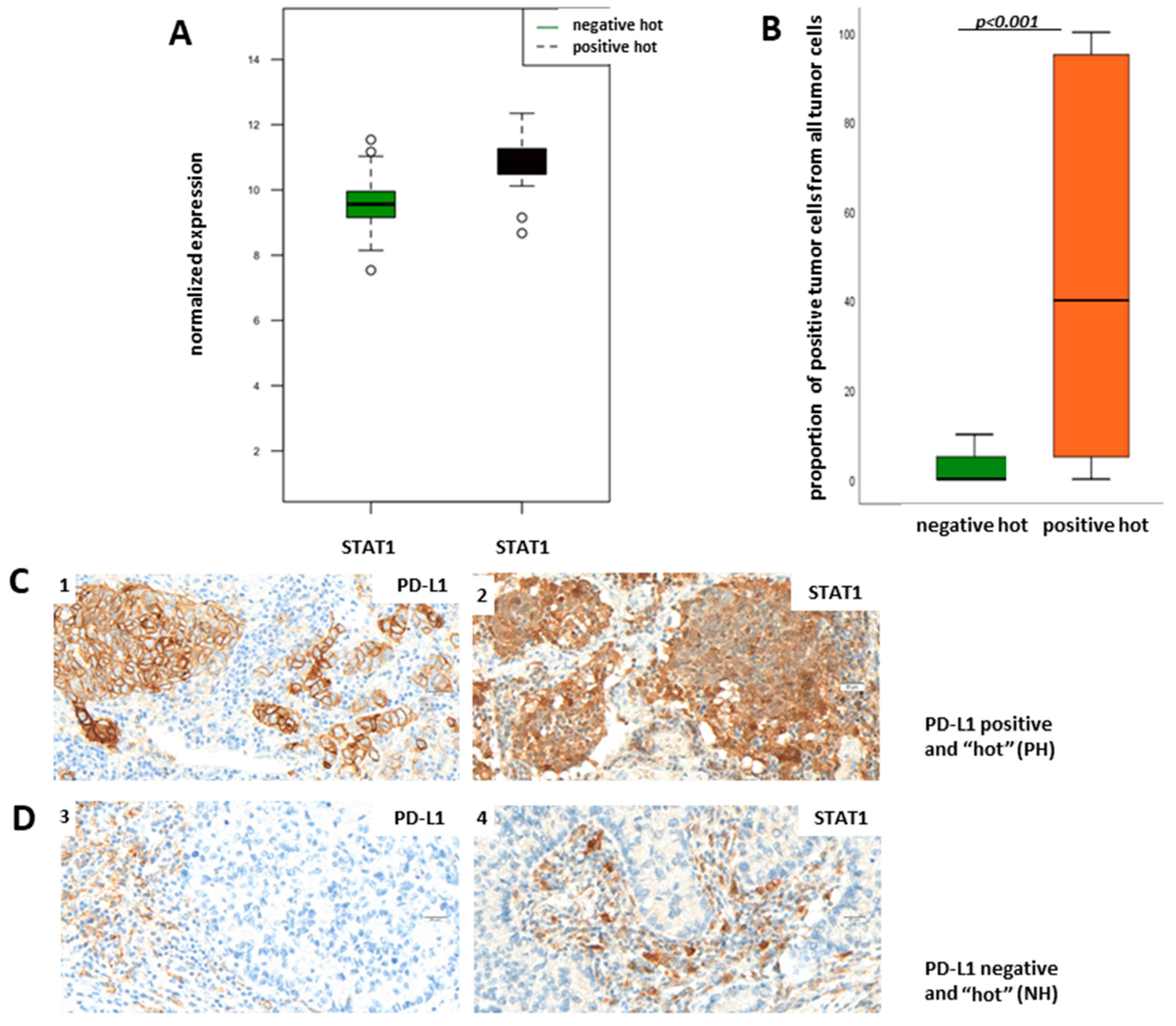 Cancers 13 04562 g005