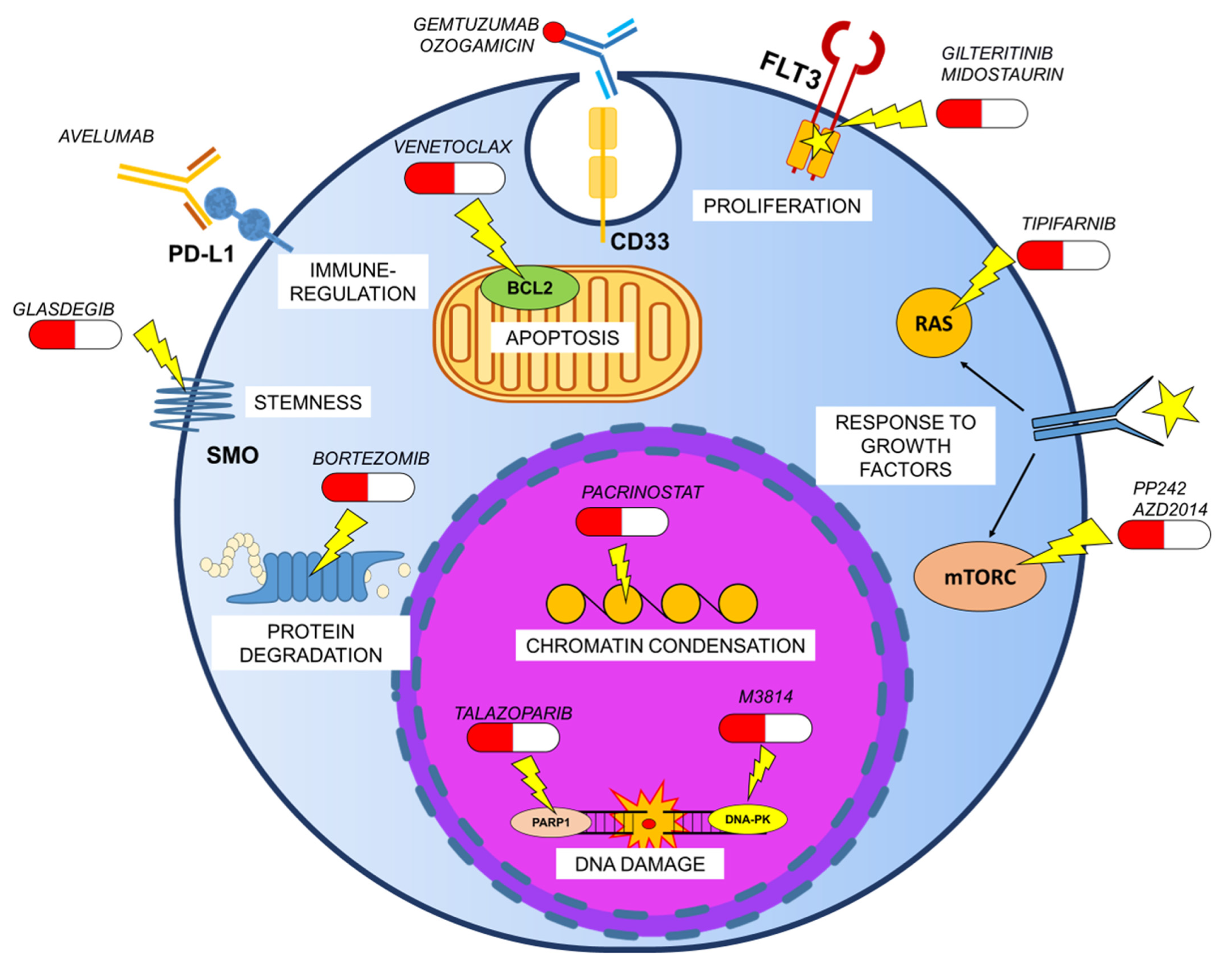 Cancers 13 04566 g003 Cancers 13 04566 g003