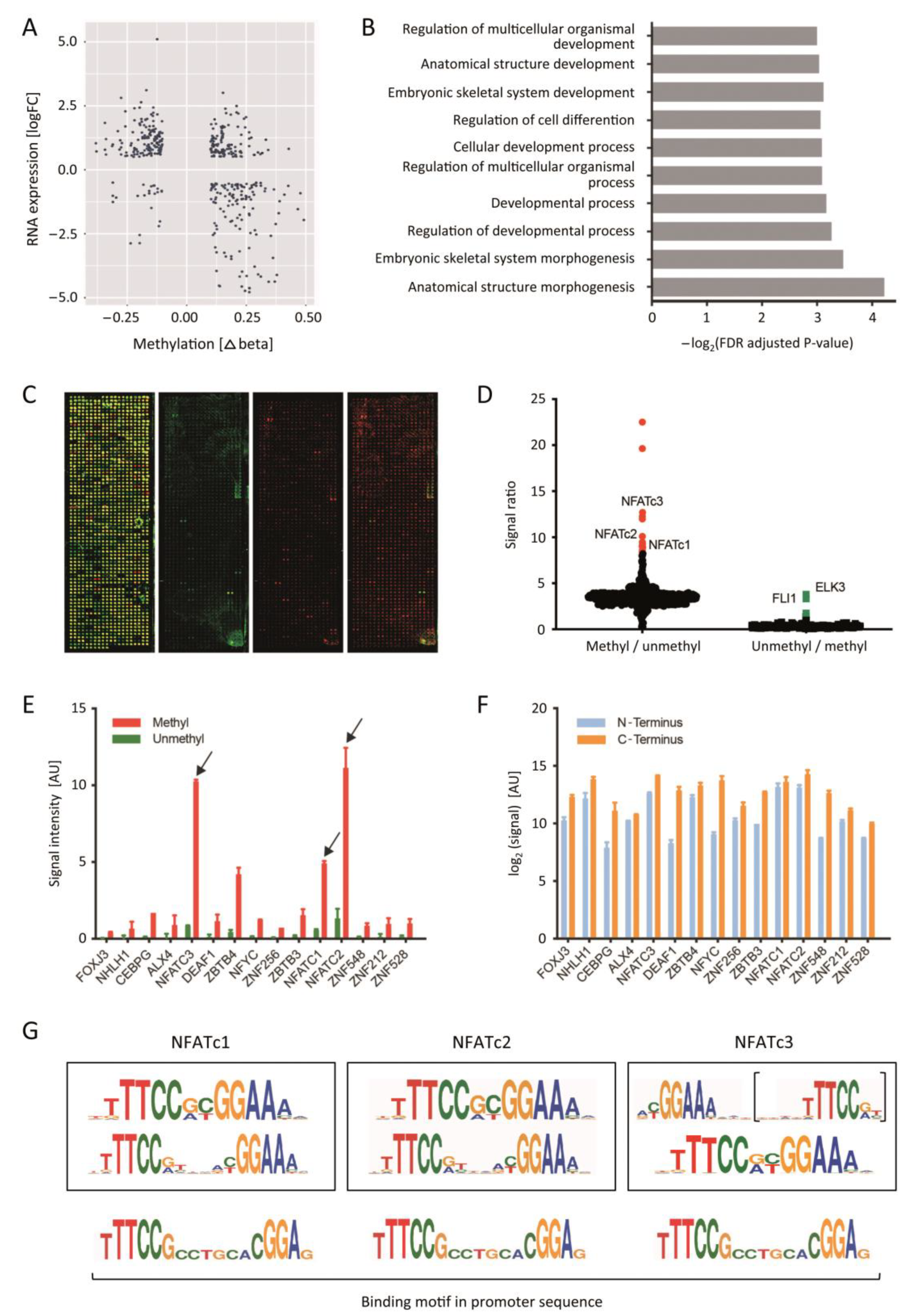Cancers 13 04569 g001