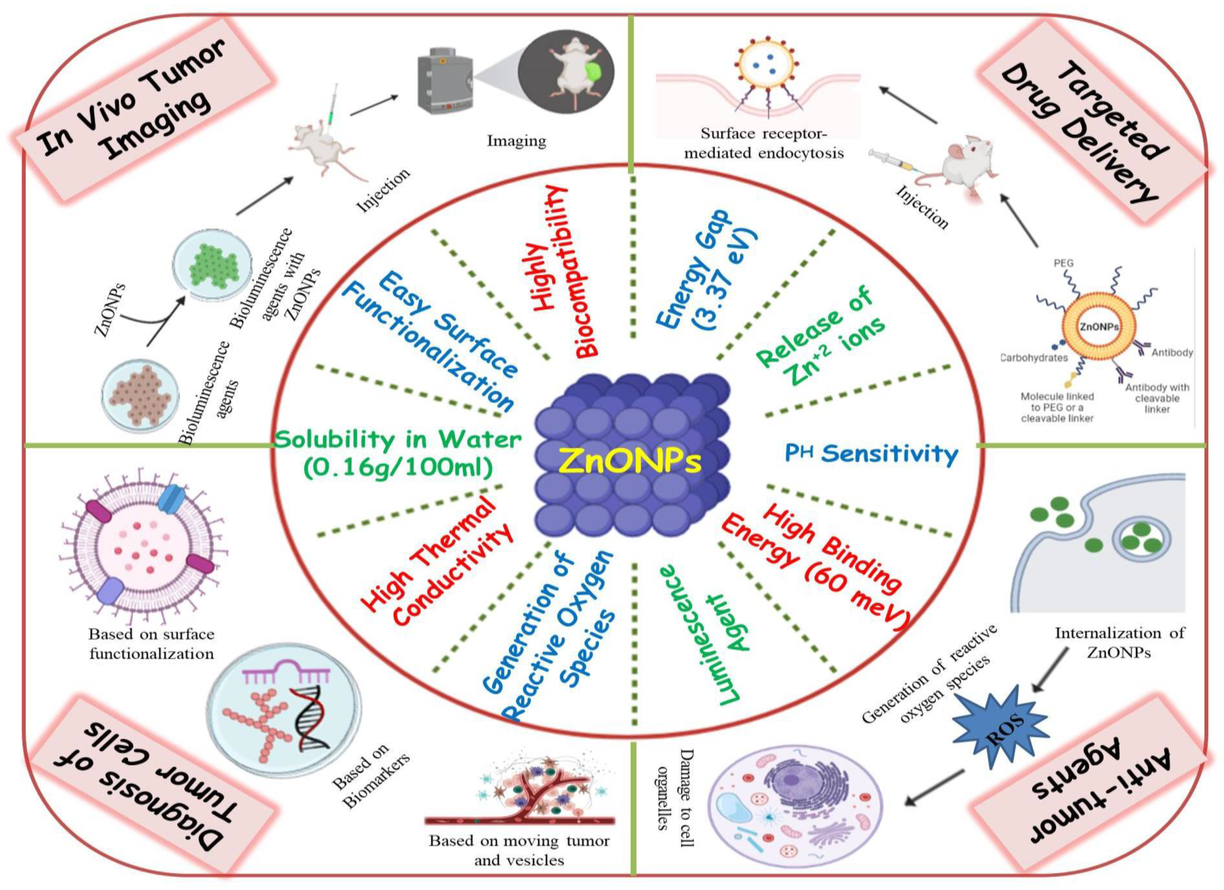 Cancers 13 04570 g003 Cancers 13 04570 g003