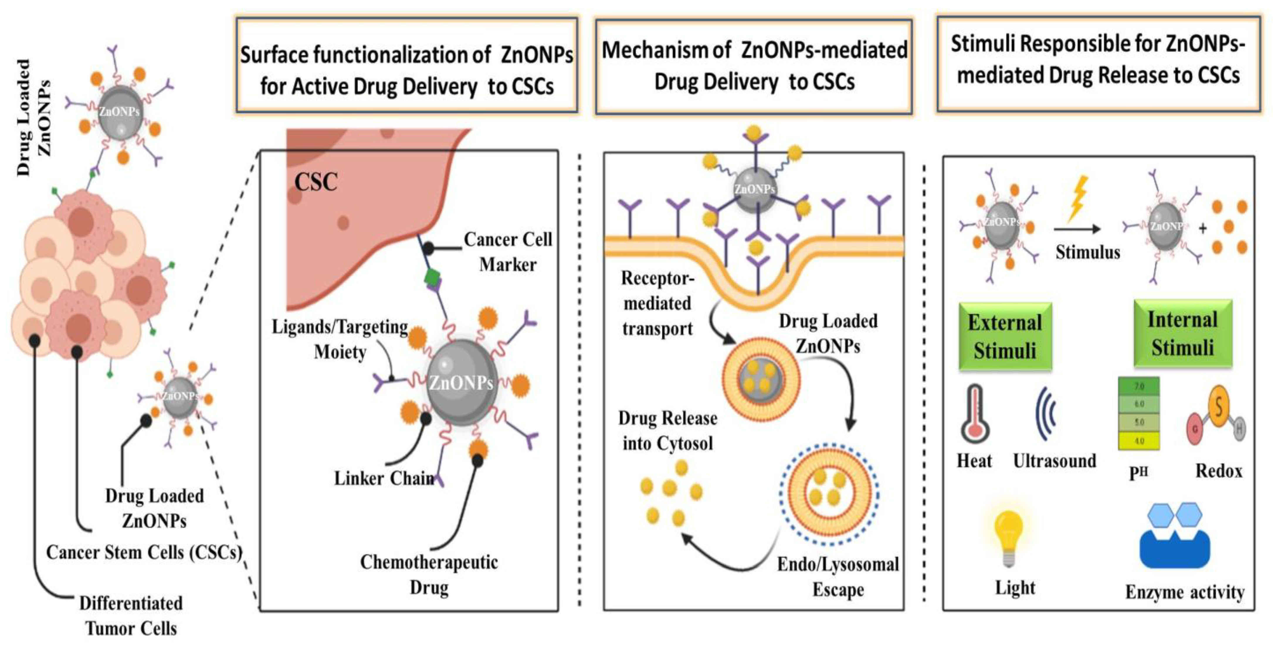 Cancers 13 04570 g004 Cancers 13 04570 g004