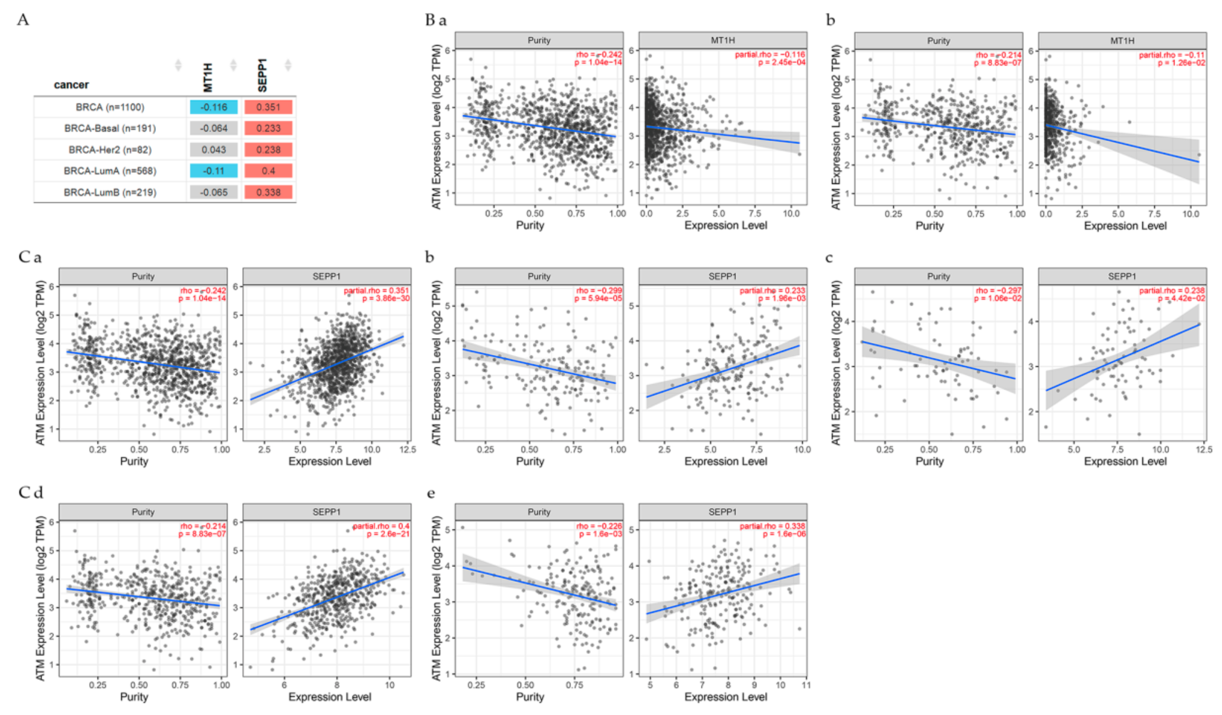 Cancers 13 04571 g006 Cancers 13 04571 g006