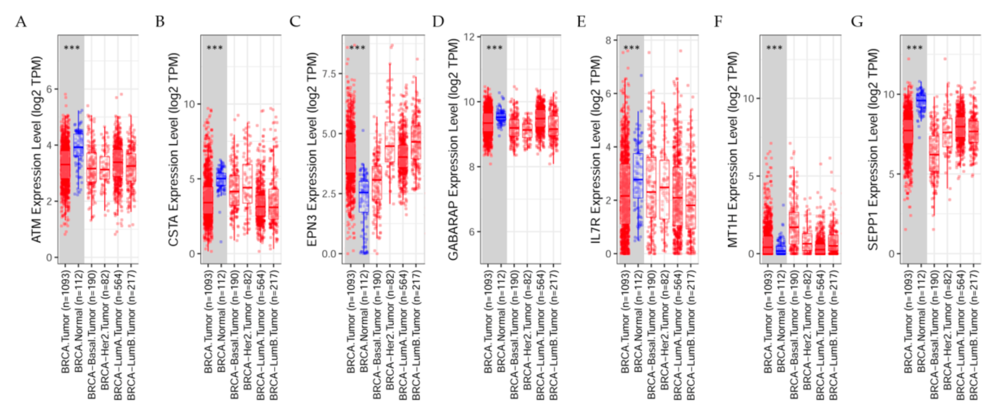 Cancers 13 04571 g007 Cancers 13 04571 g007