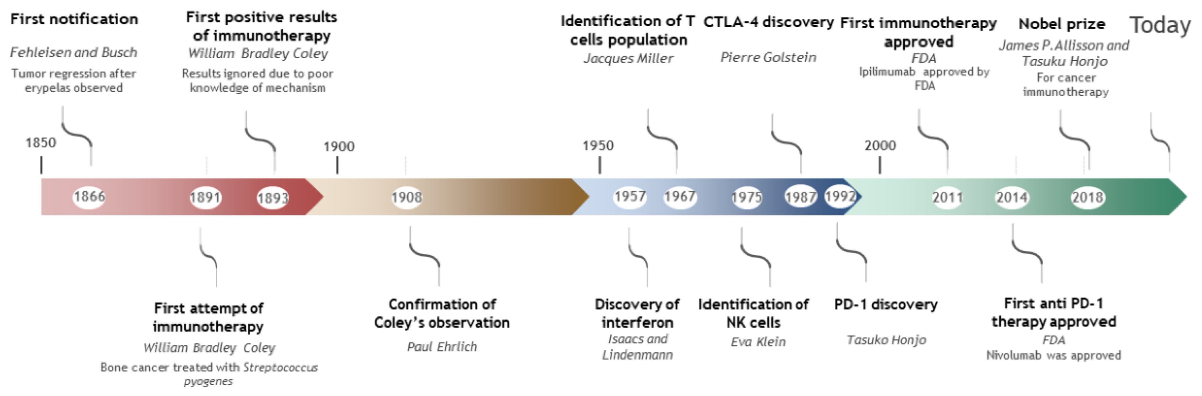 Cancers 13 04573 g001 550