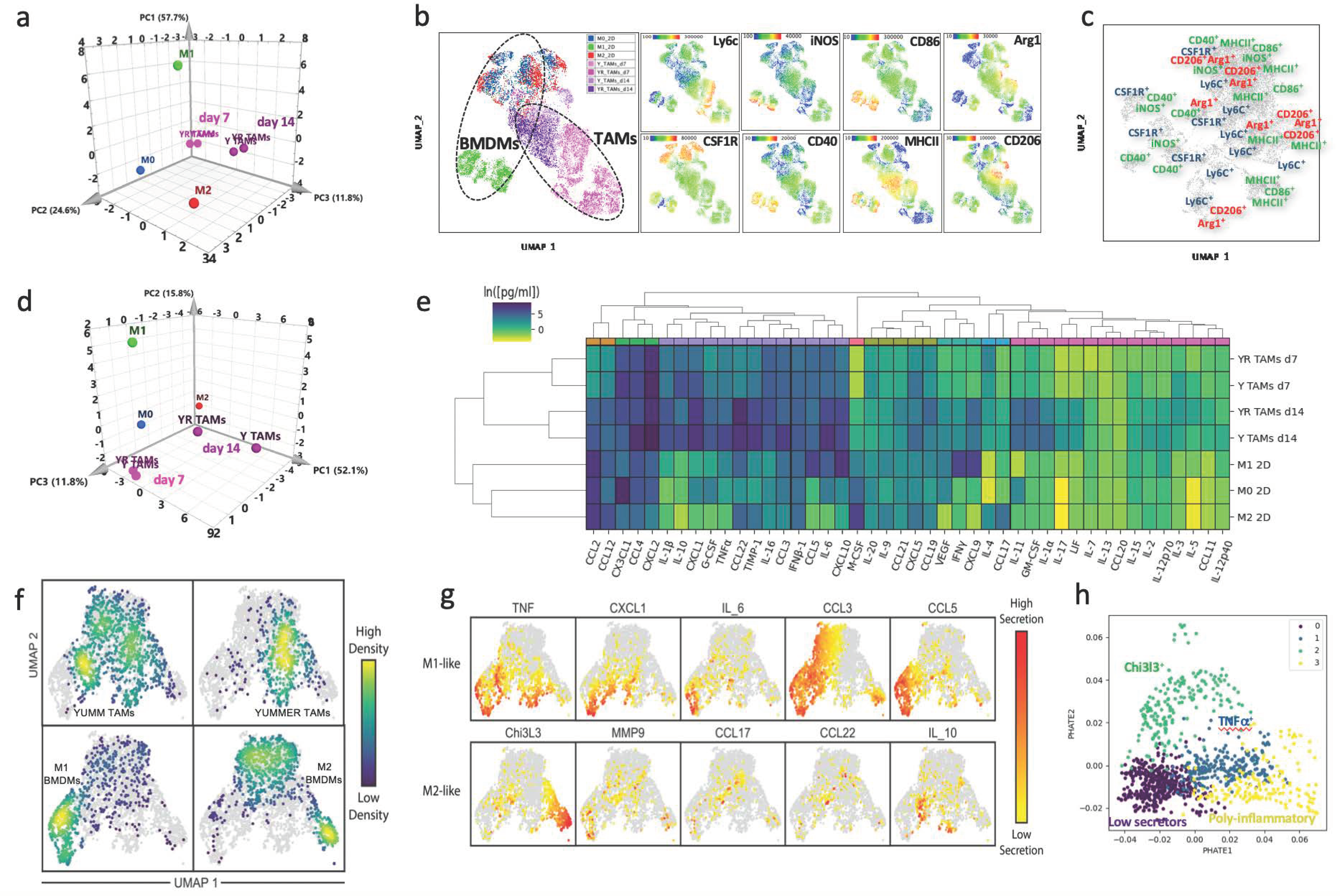 Cancers 13 04579 g001