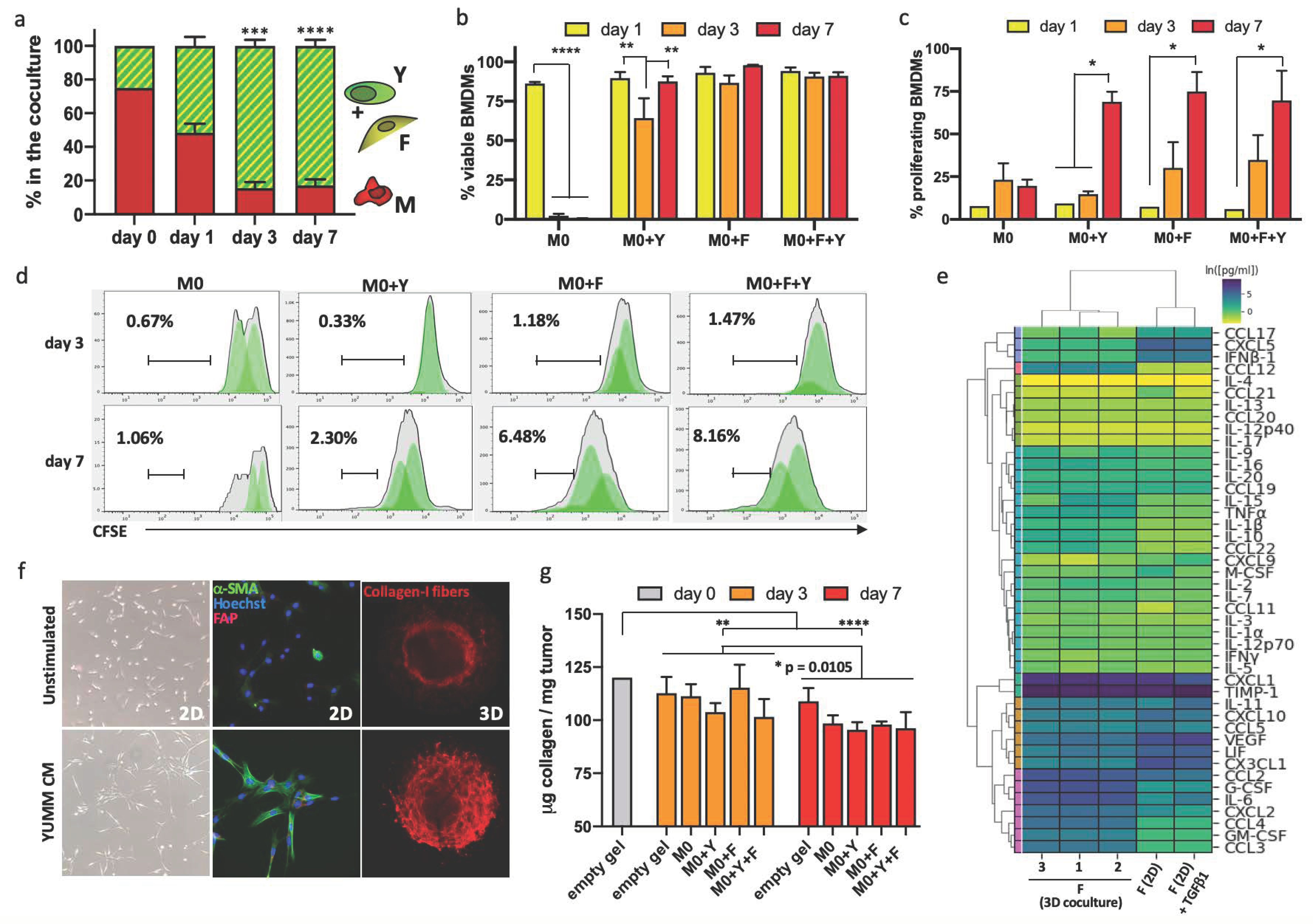 Cancers 13 04579 g003