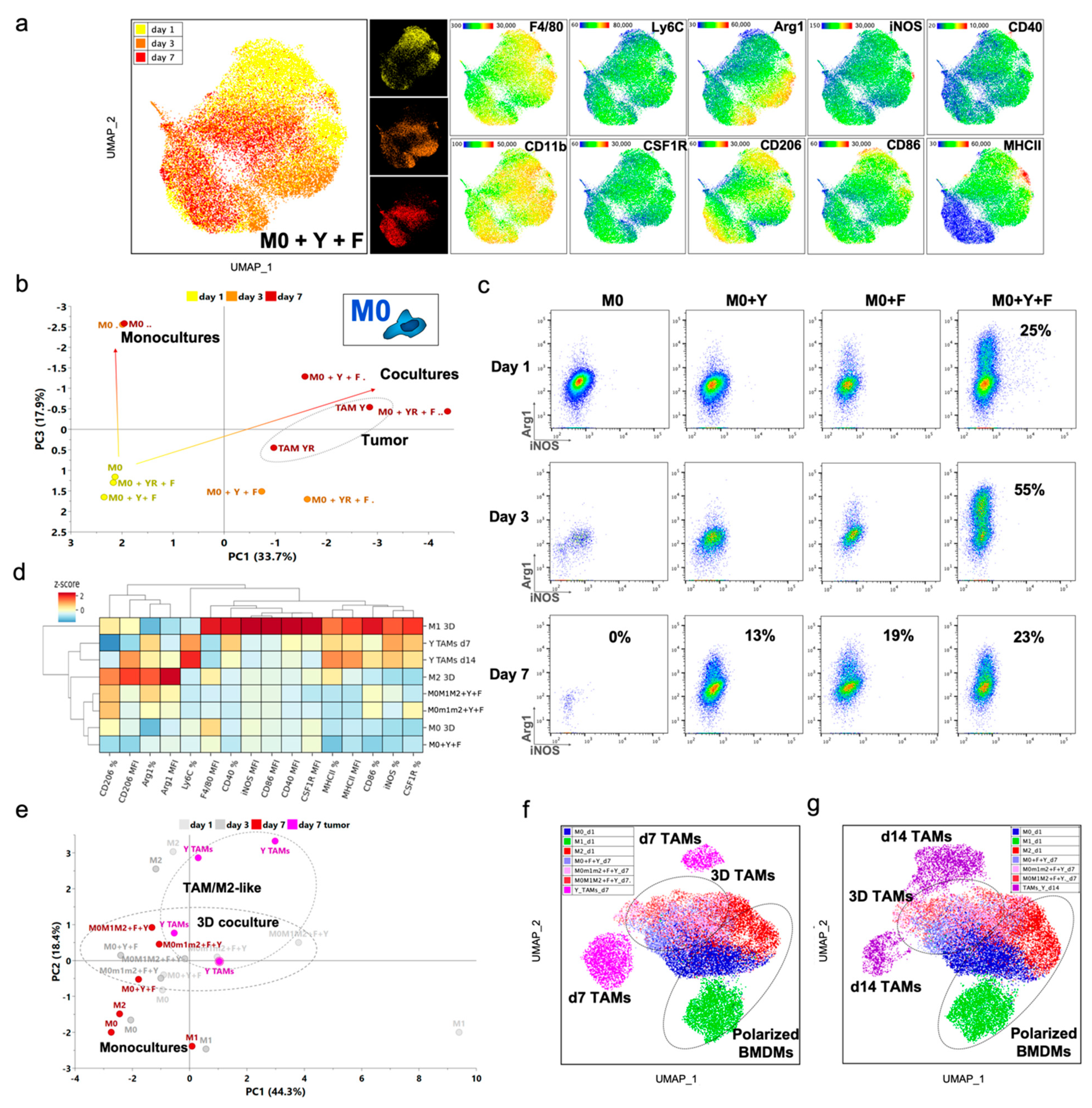 Cancers 13 04579 g005