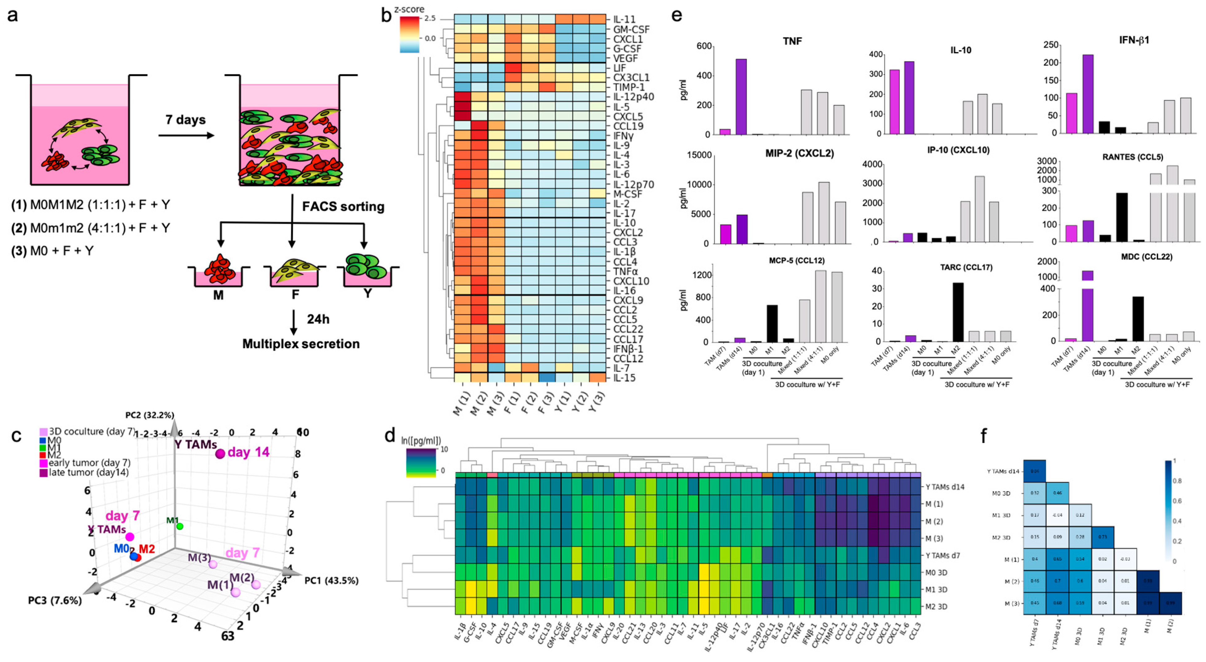 Cancers 13 04579 g006