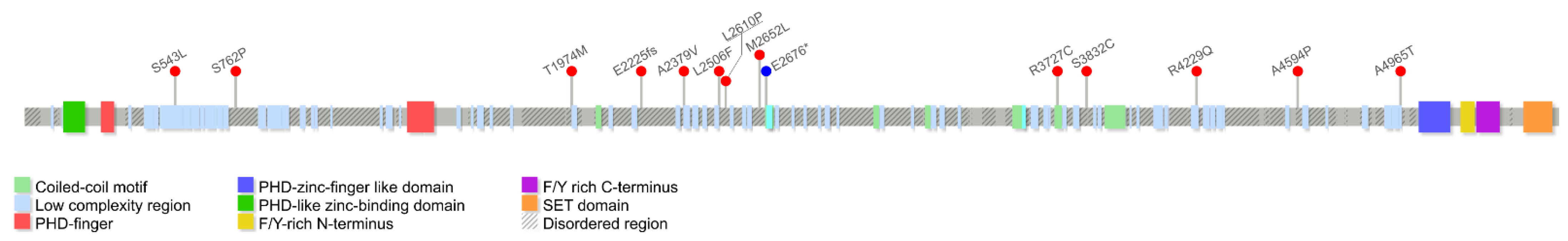 Cancers 13 04586 g004 Cancers 13 04586 g004