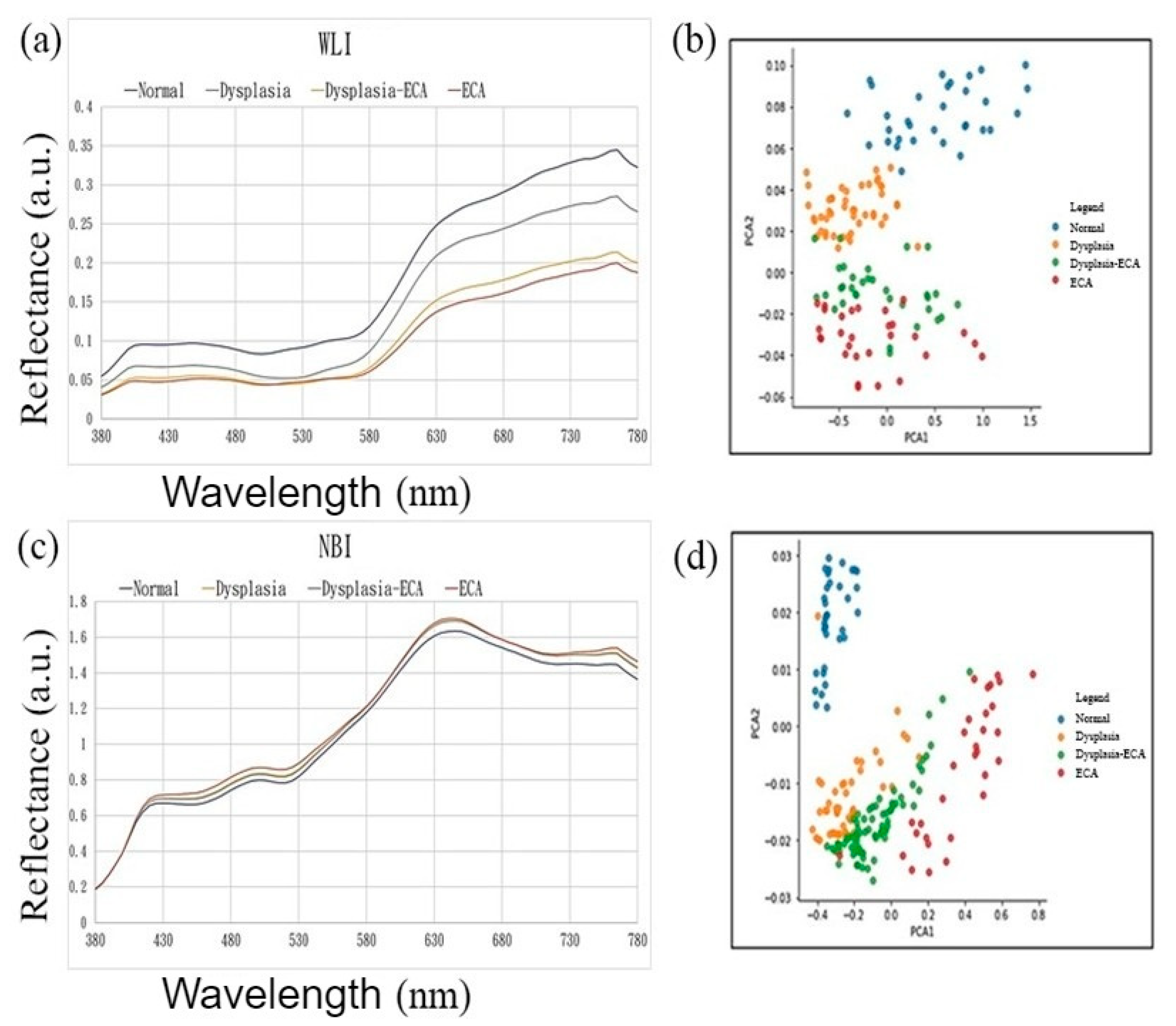 Cancers 13 04593 g003
