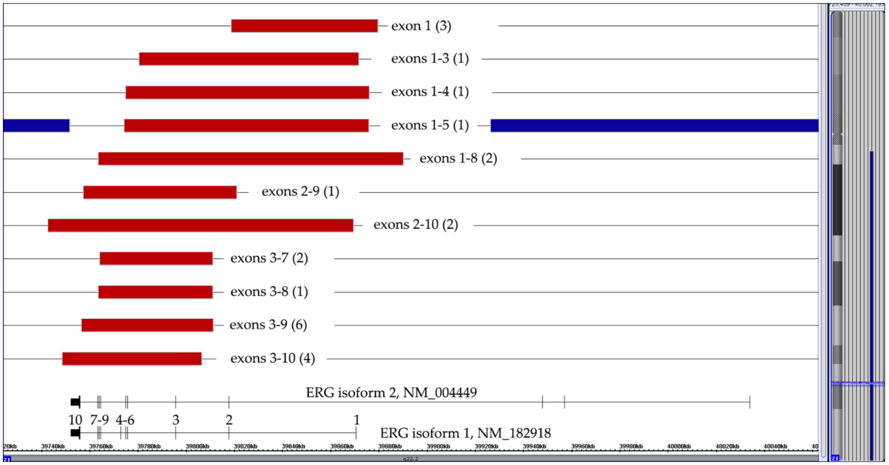 Cancers 13 04597 g005 Cancers 13 04597 g005