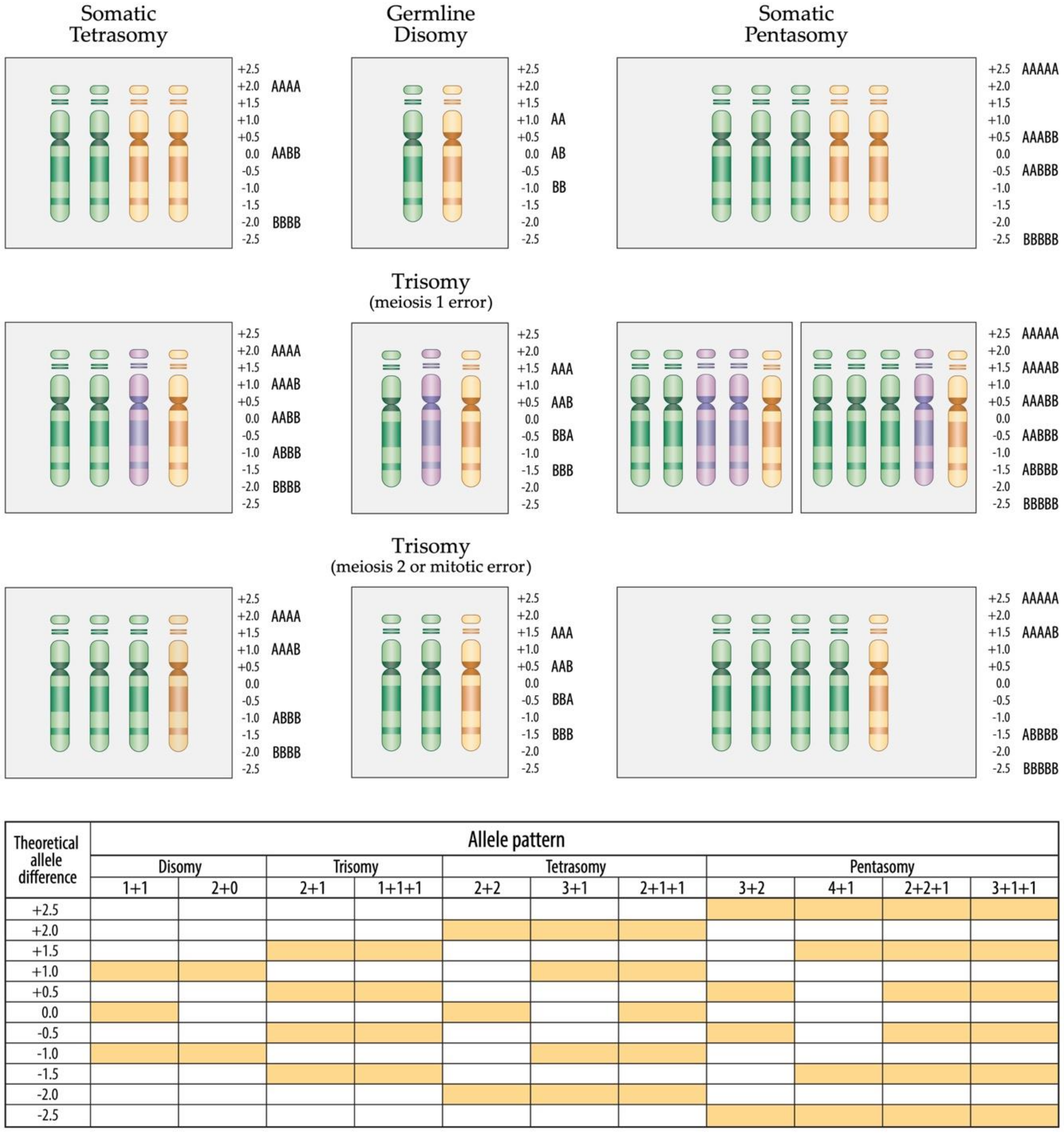 Cancers 13 04597 g007 Cancers 13 04597 g007
