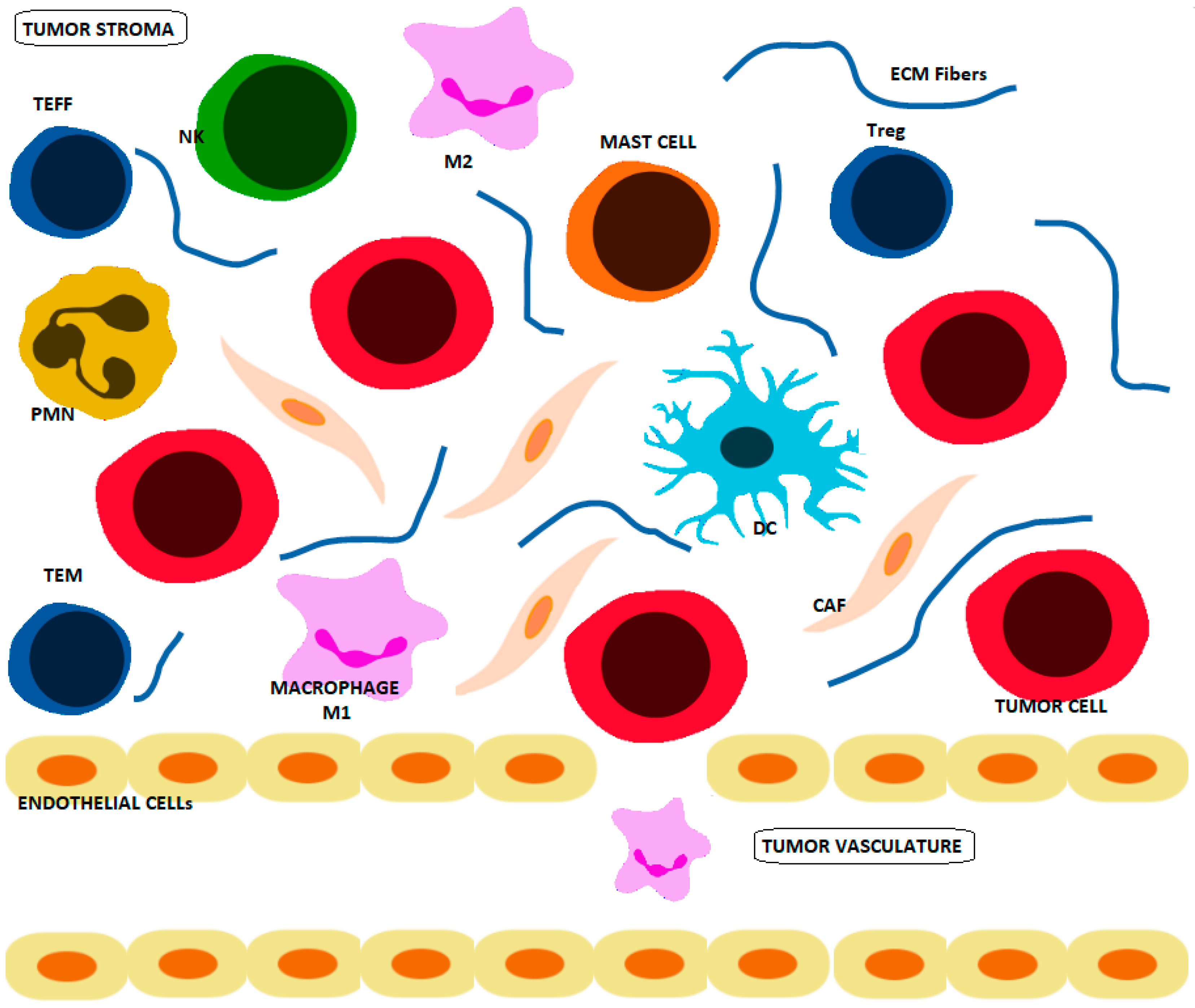 Cancers 13 04609 g001 Cancers 13 04609 g001