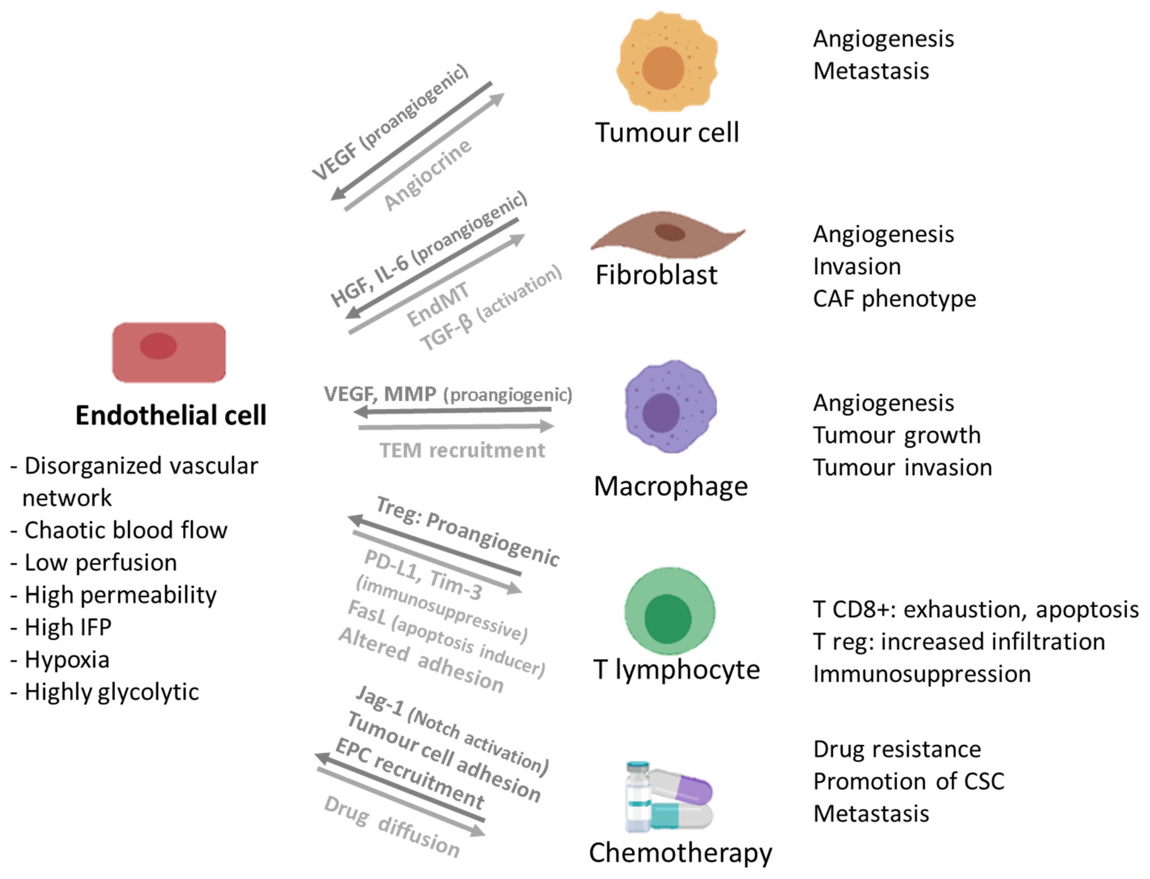 Cancers 13 04610 g002 Cancers 13 04610 g002
