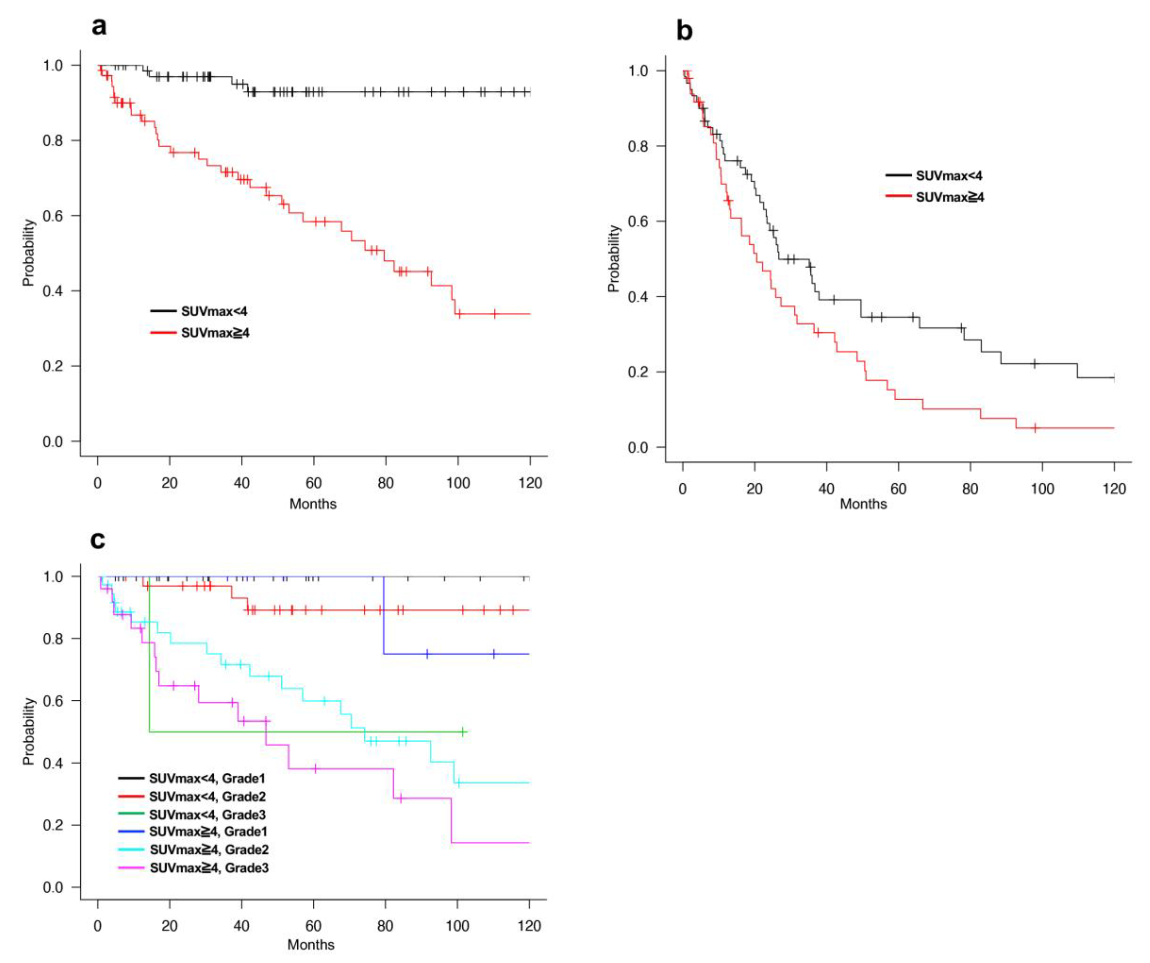 Cancers 13 04611 g002 550