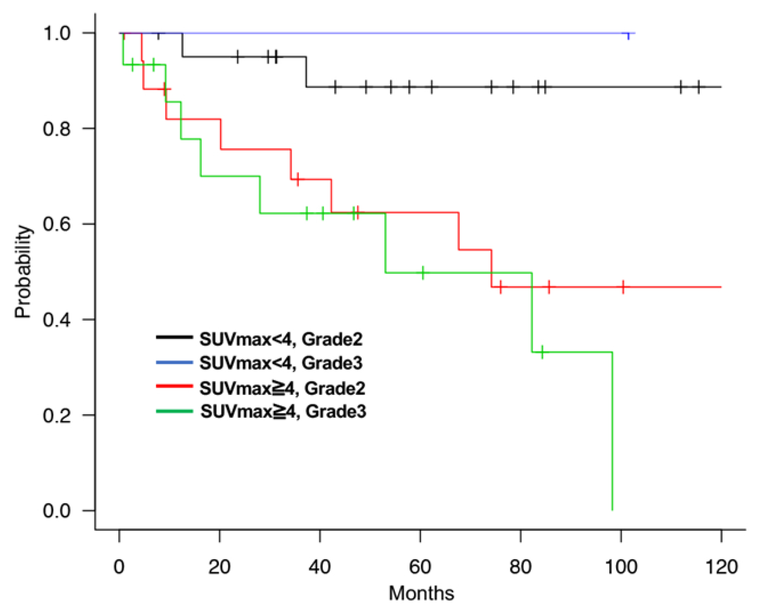 Cancers 13 04611 g005 550