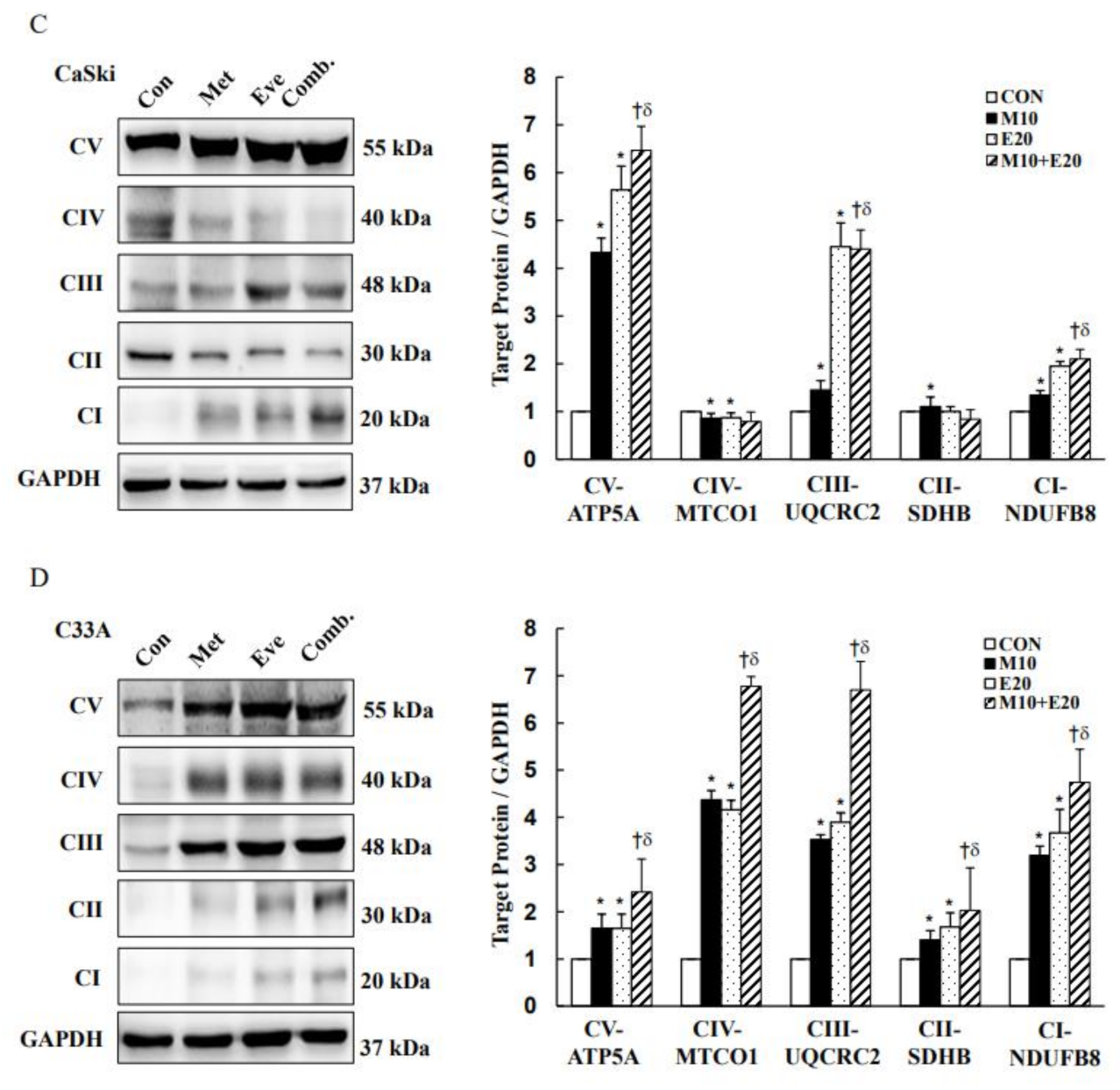 Cancers 13 04612 g004b