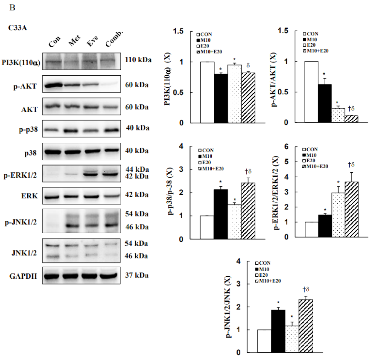 Cancers 13 04612 g006b