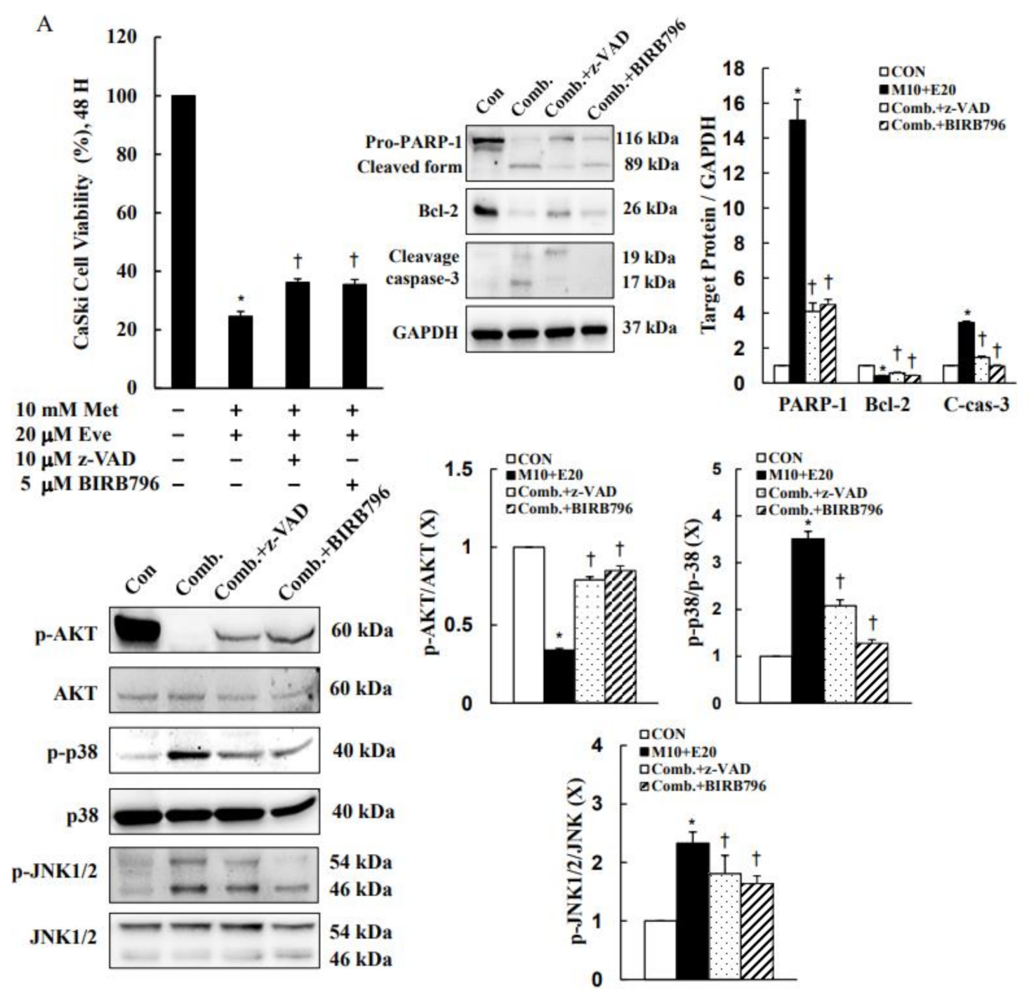 Cancers 13 04612 g007a