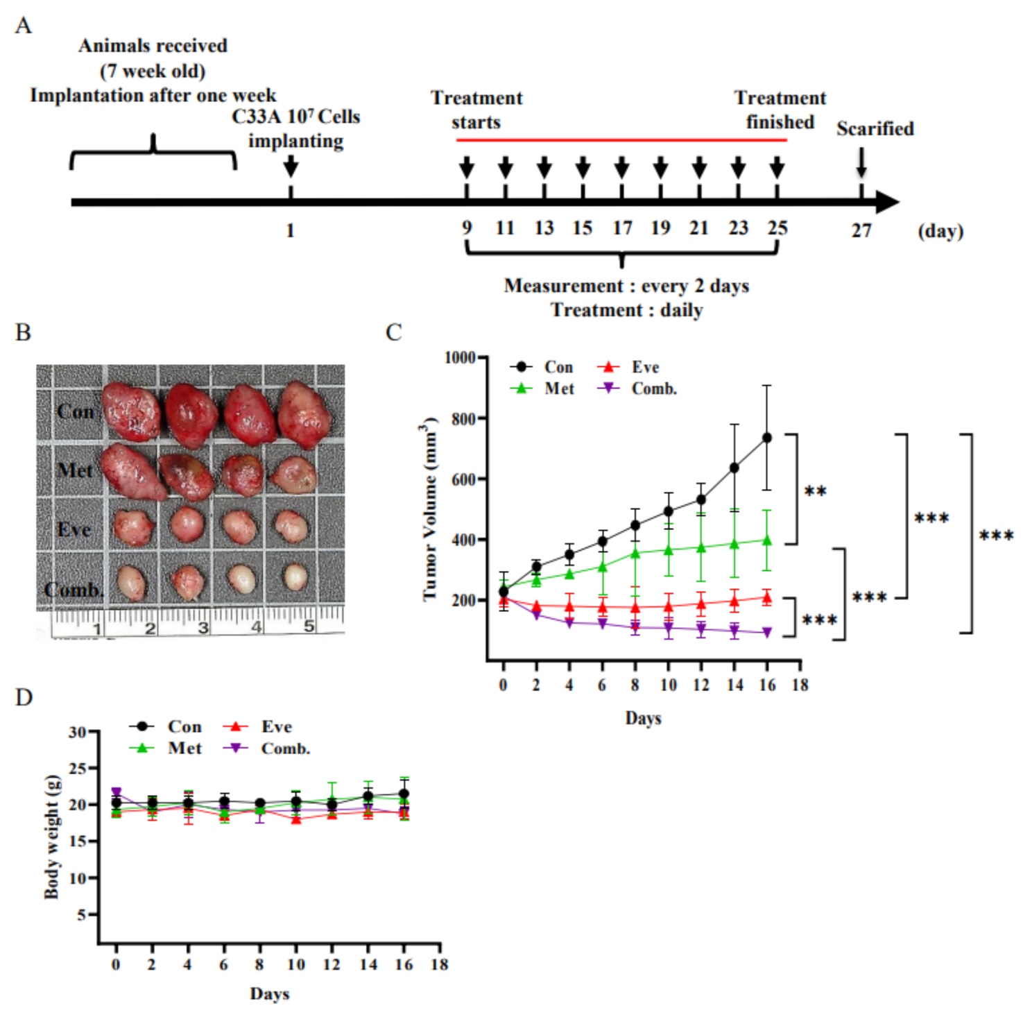 Cancers 13 04612 g008a