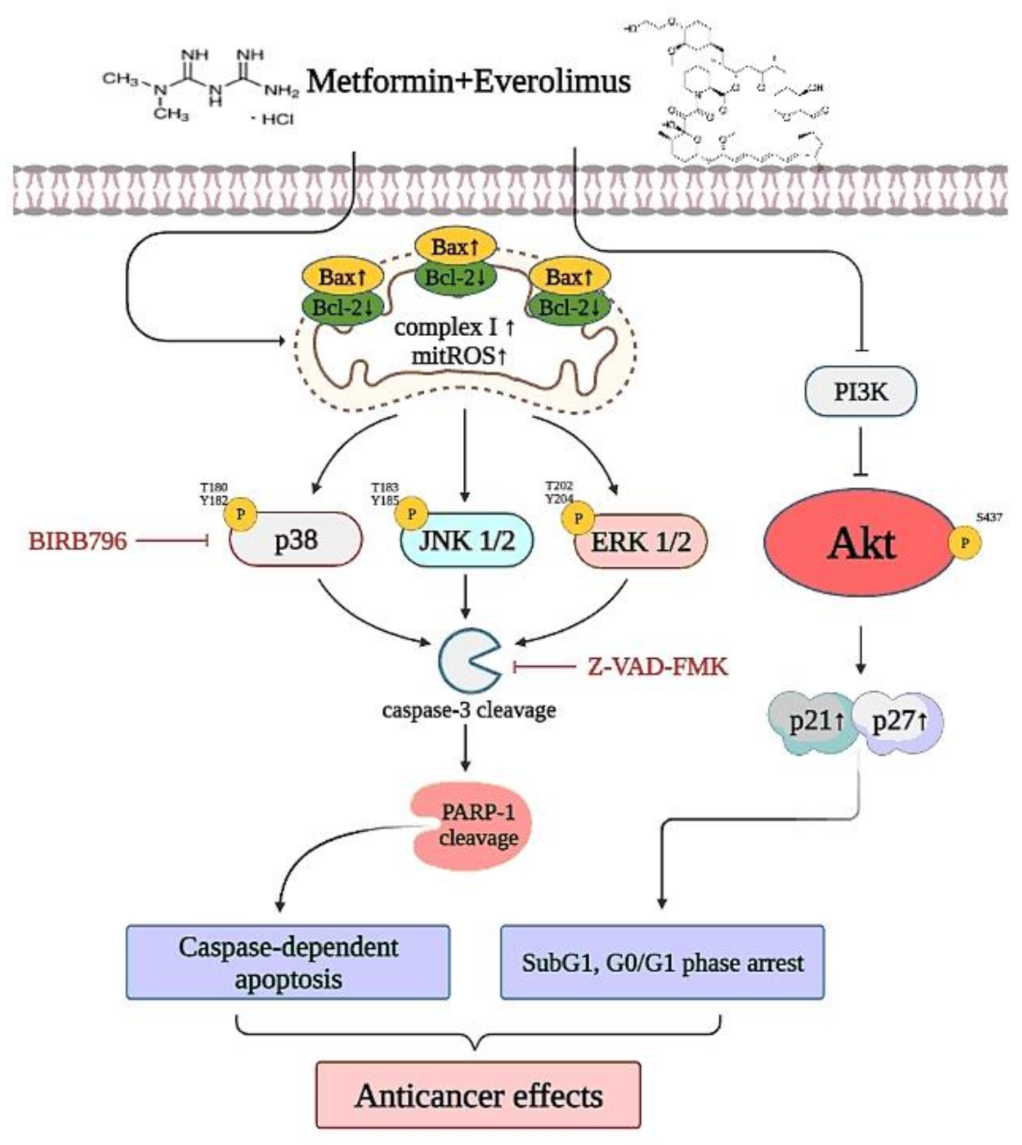 Cancers 13 04612 g009