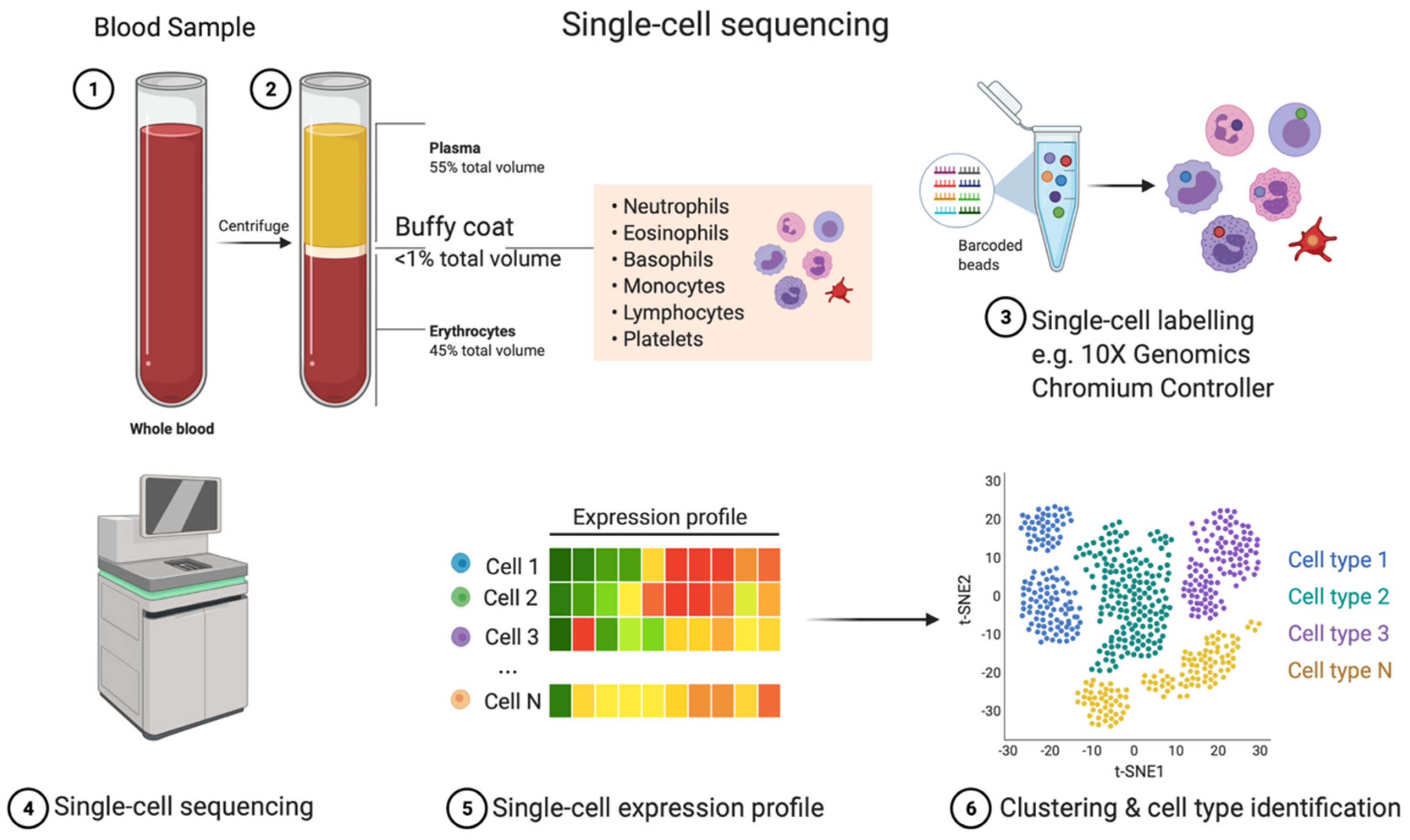 Cancers 13 04627 g001 550