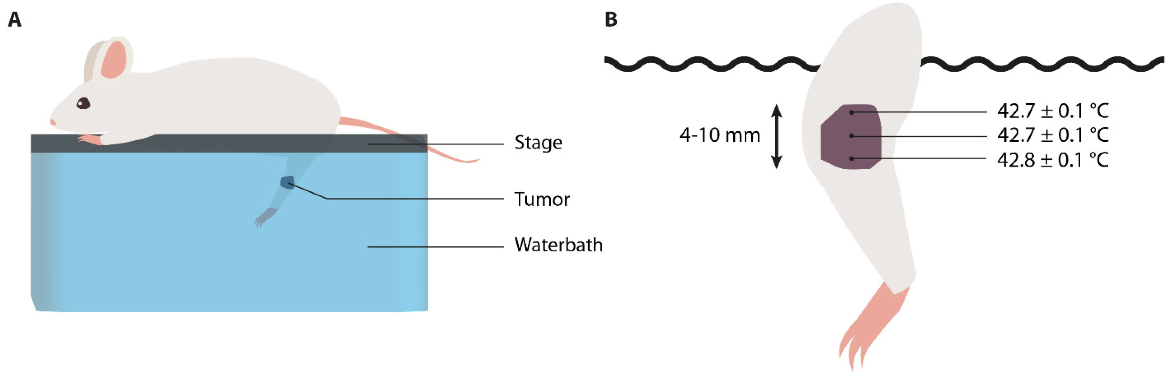 Cancers | Free Full-Text | External Basic Hyperthermia Devices for Preclinical Studies in Small Animals Cancers | Free Full-Text | External Basic Hyperthermia Devices for Preclinical Studies in Small Animals