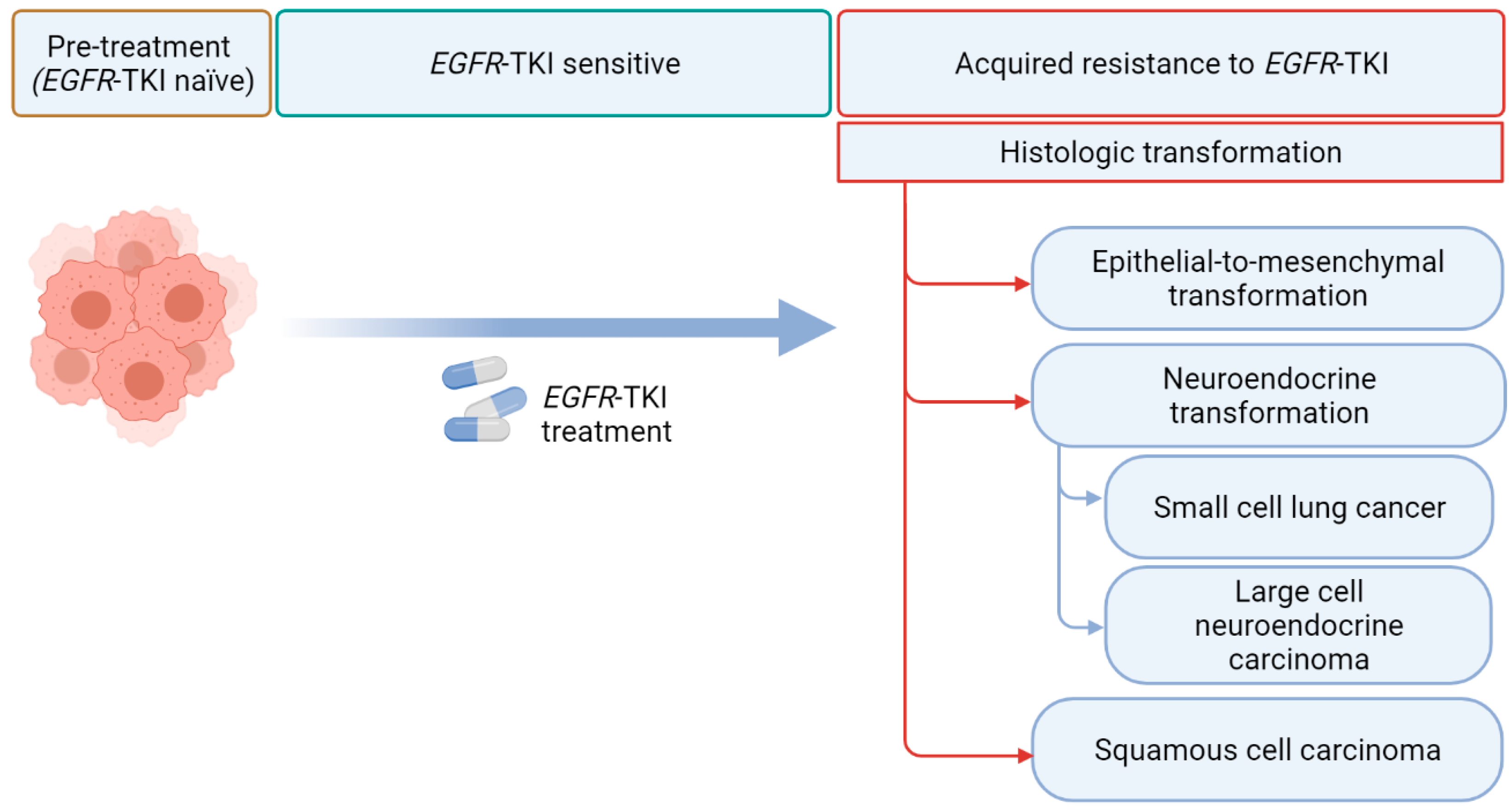Cancers 13 04641 g001 Cancers 13 04641 g001