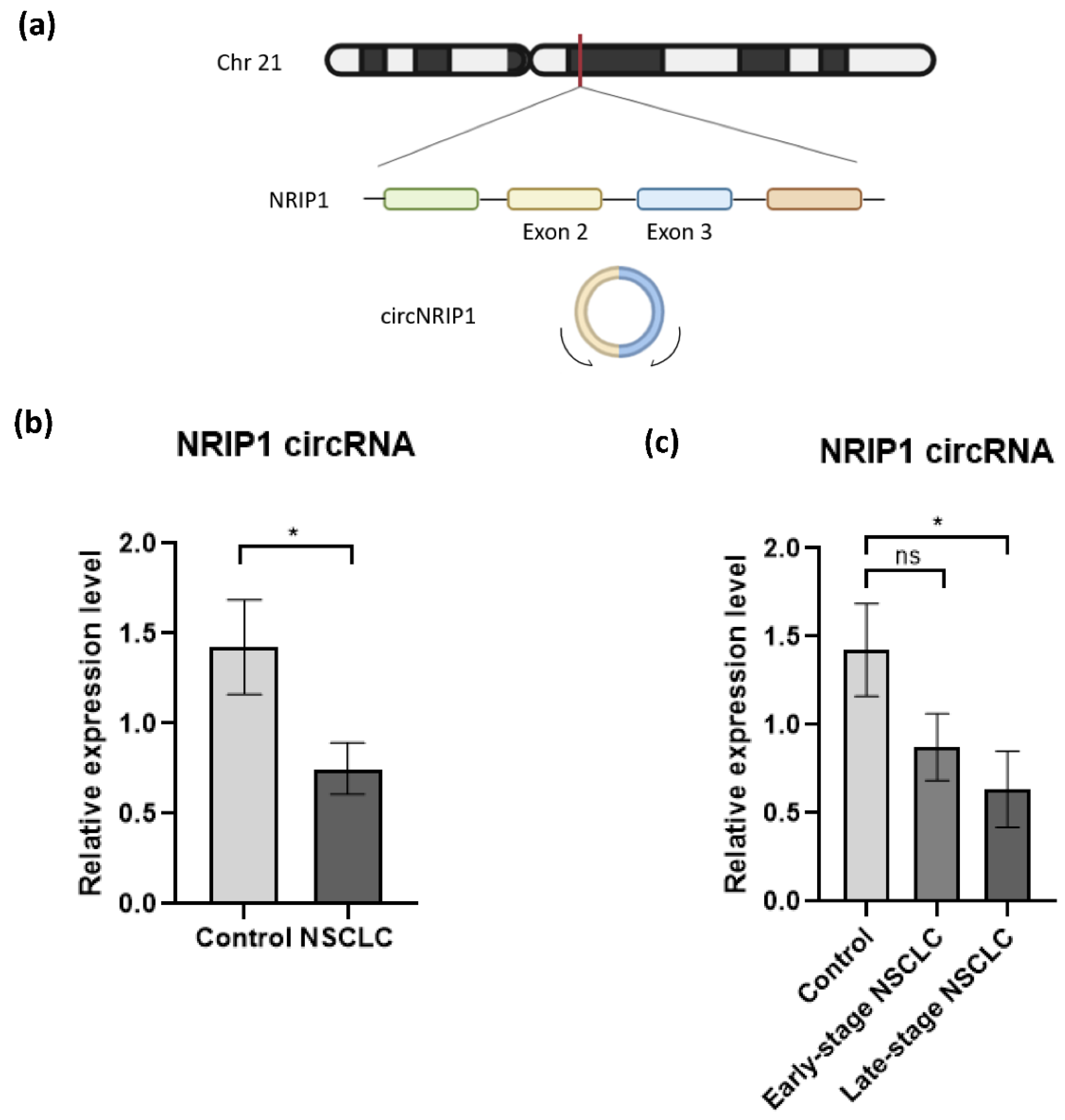 Cancers 13 04644 g002
