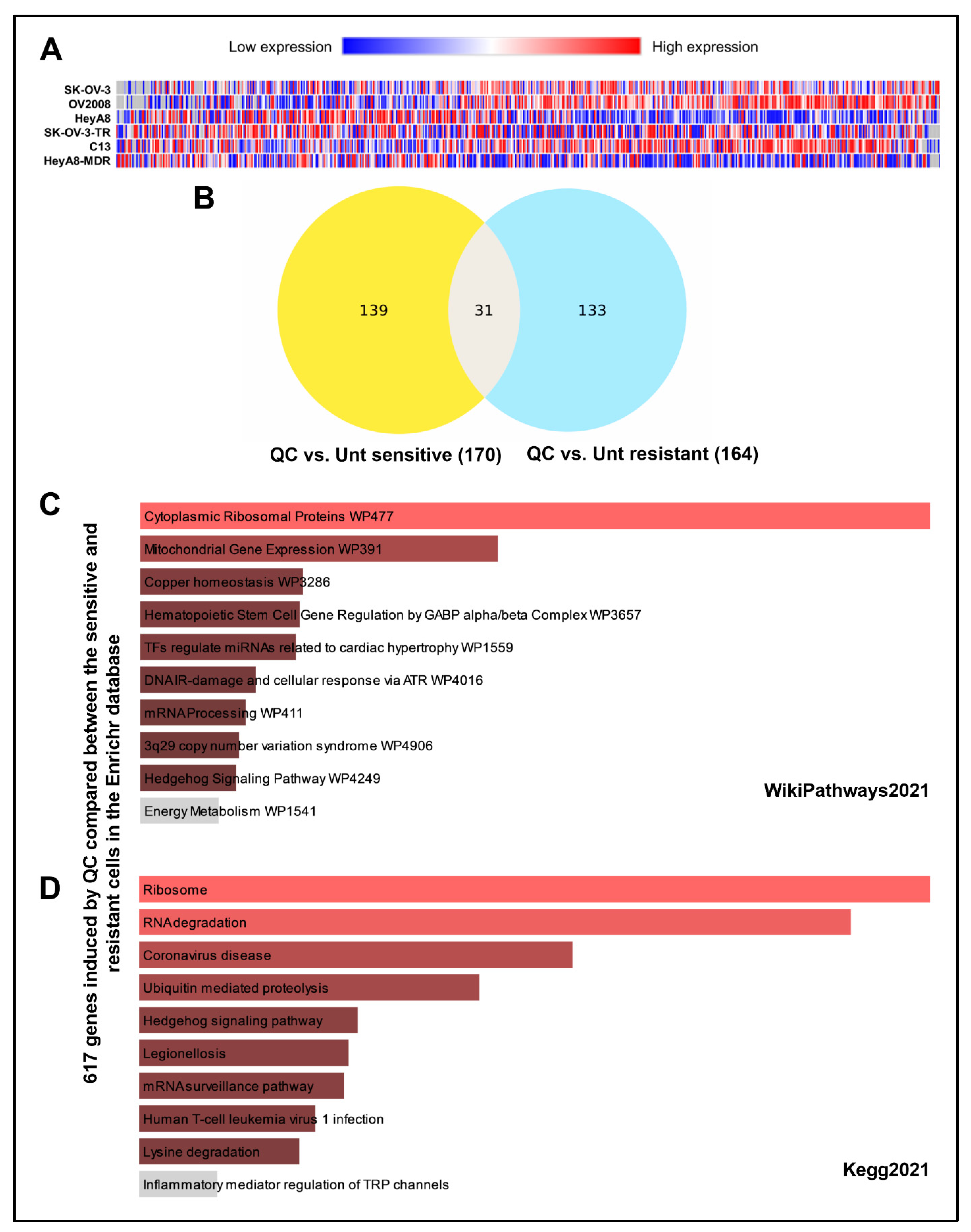 Cancers 13 04645 g001