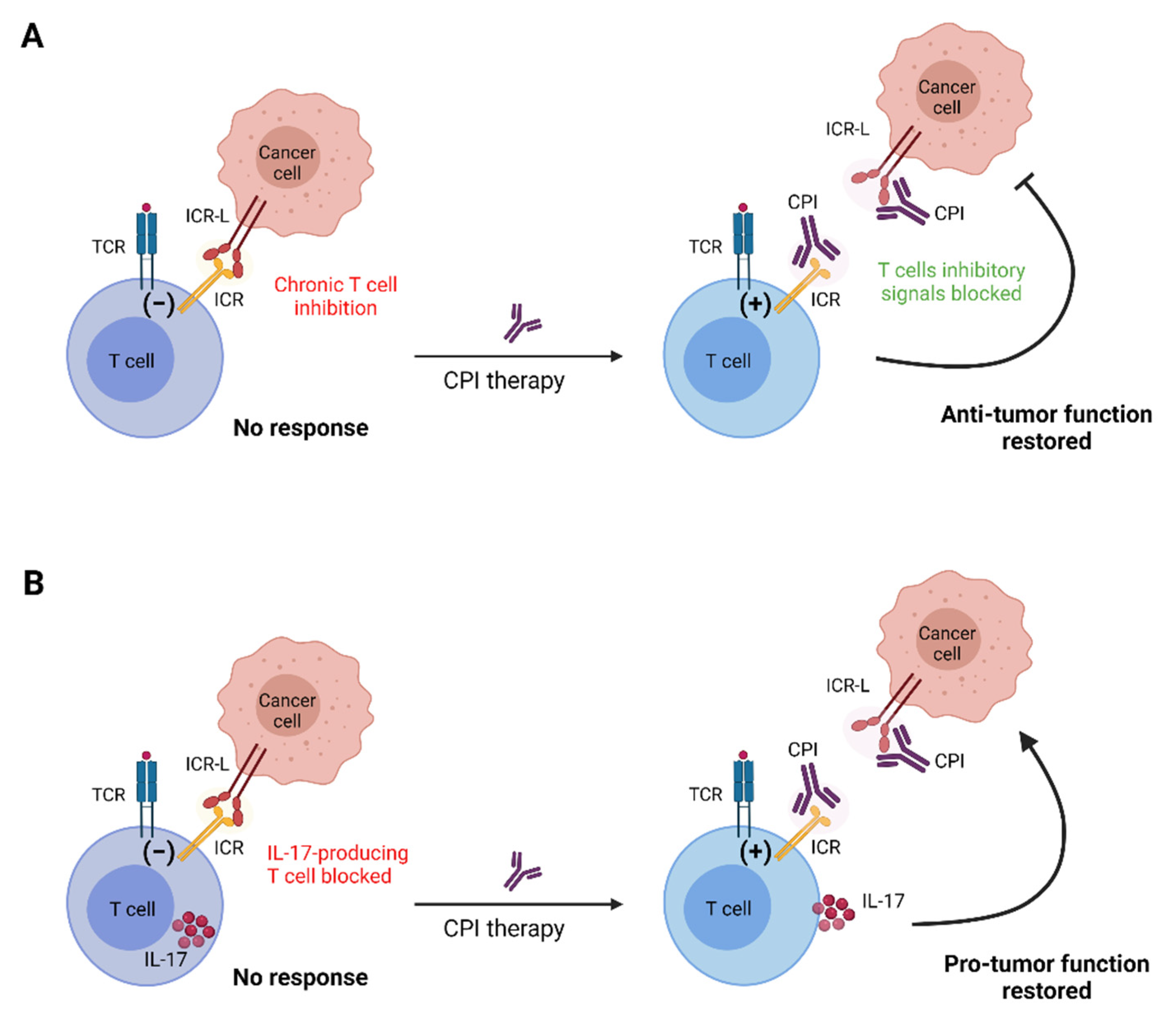 Cancers 13 04647 g002 Cancers 13 04647 g002