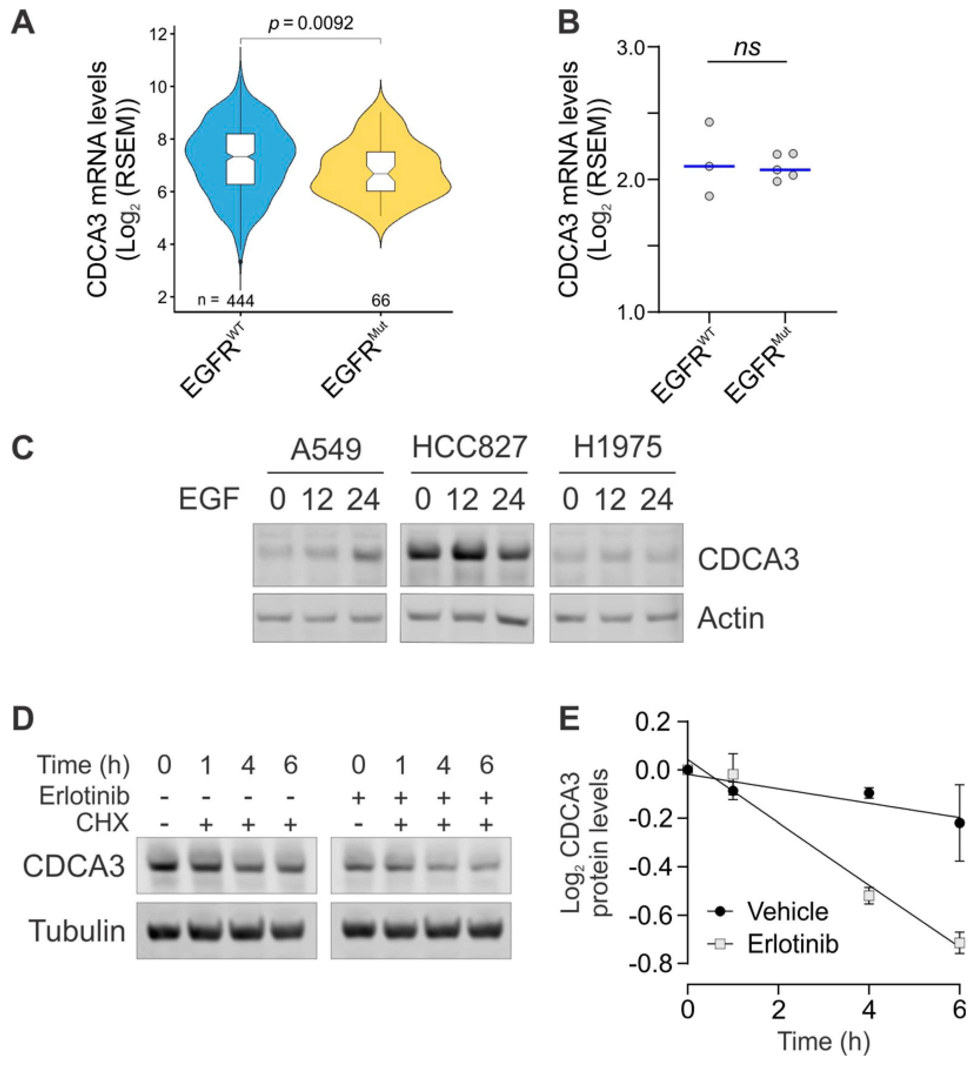 Cancers 13 04651 g002