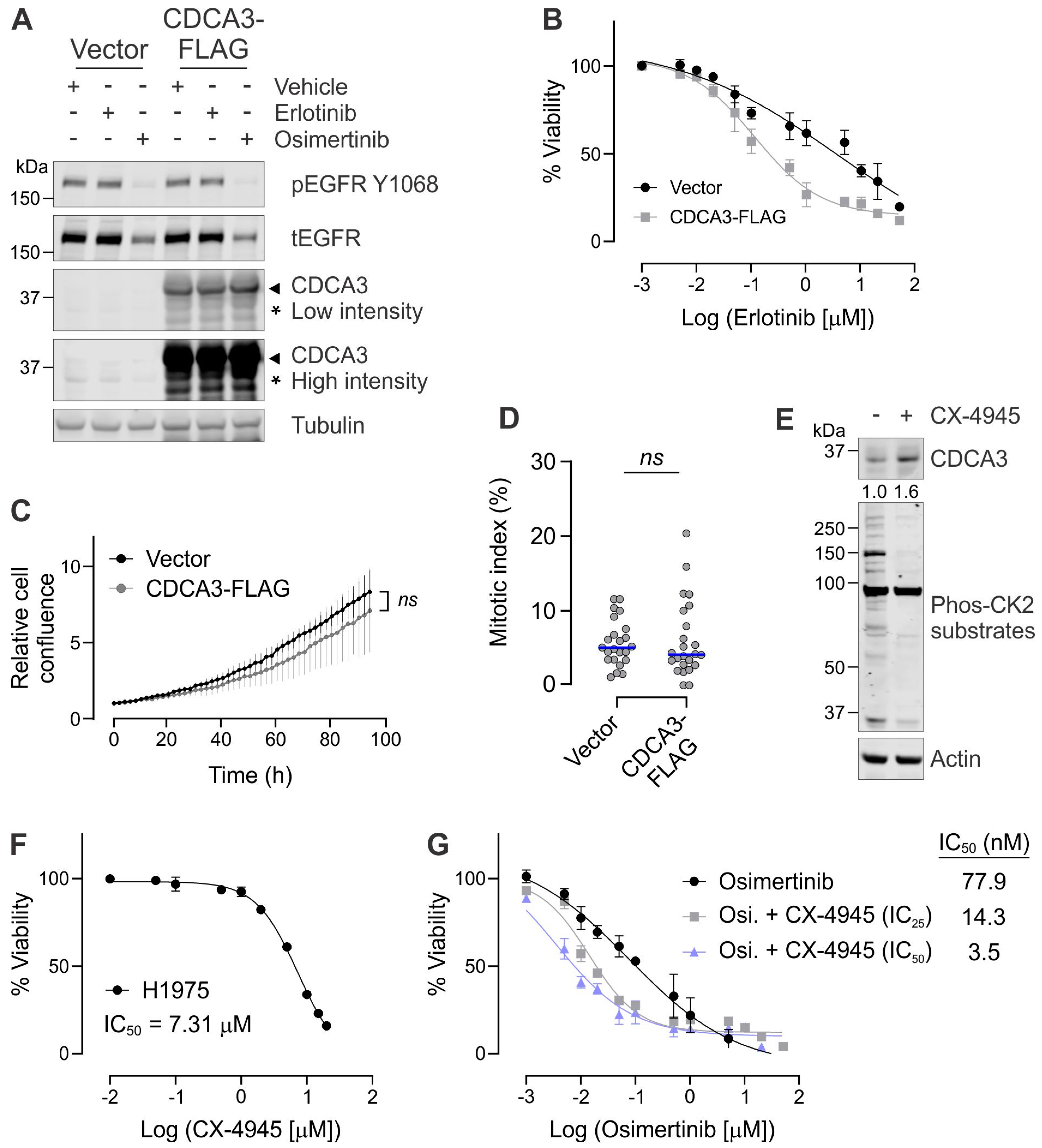 Cancers 13 04651 g004