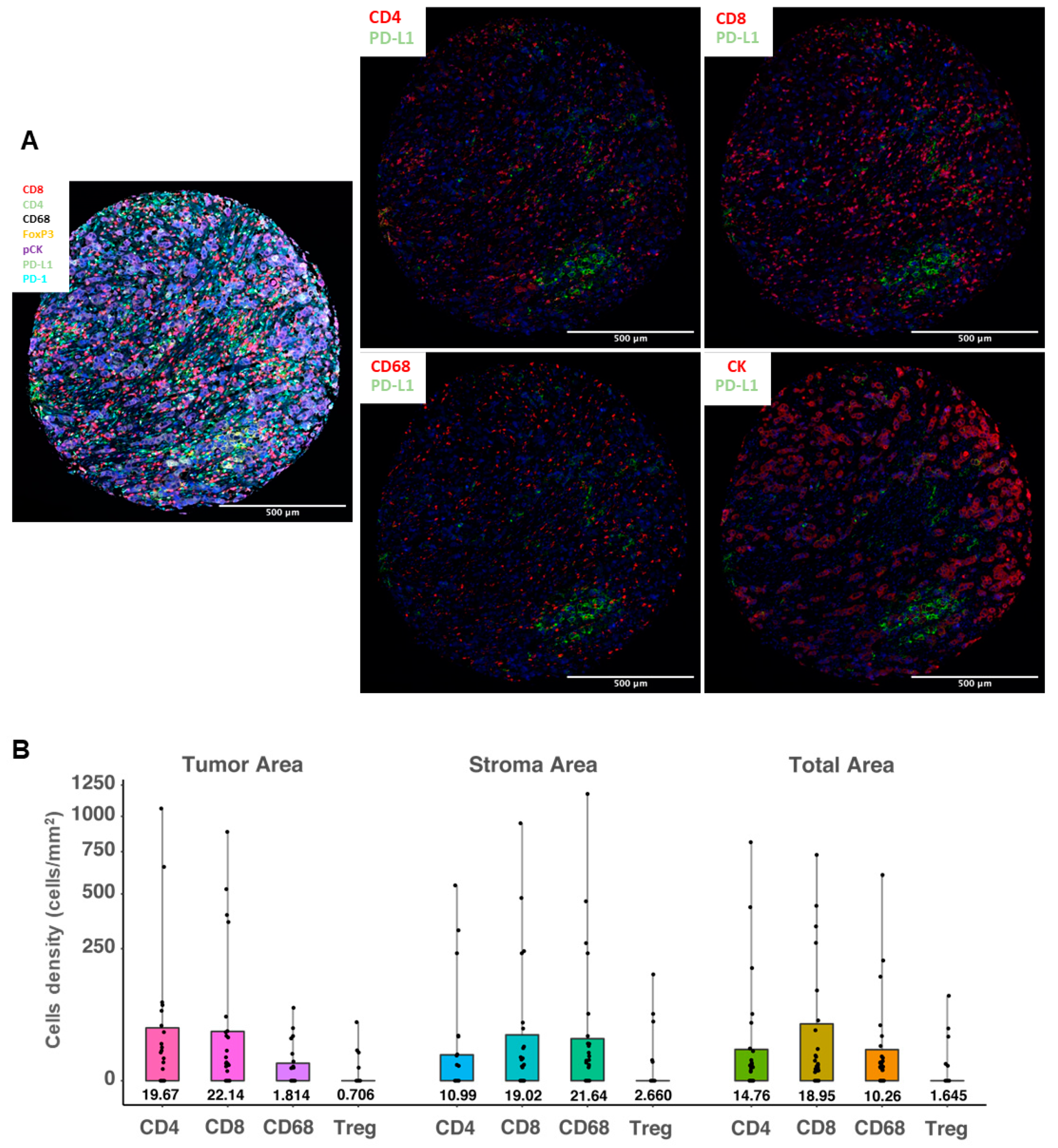 Cancers 13 04655 g003