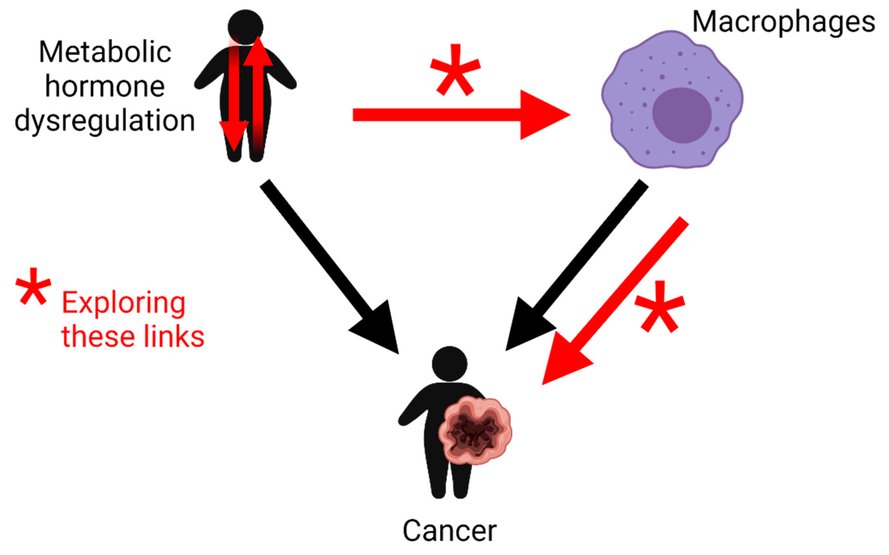 Cancers 13 04661 g002 Cancers 13 04661 g002