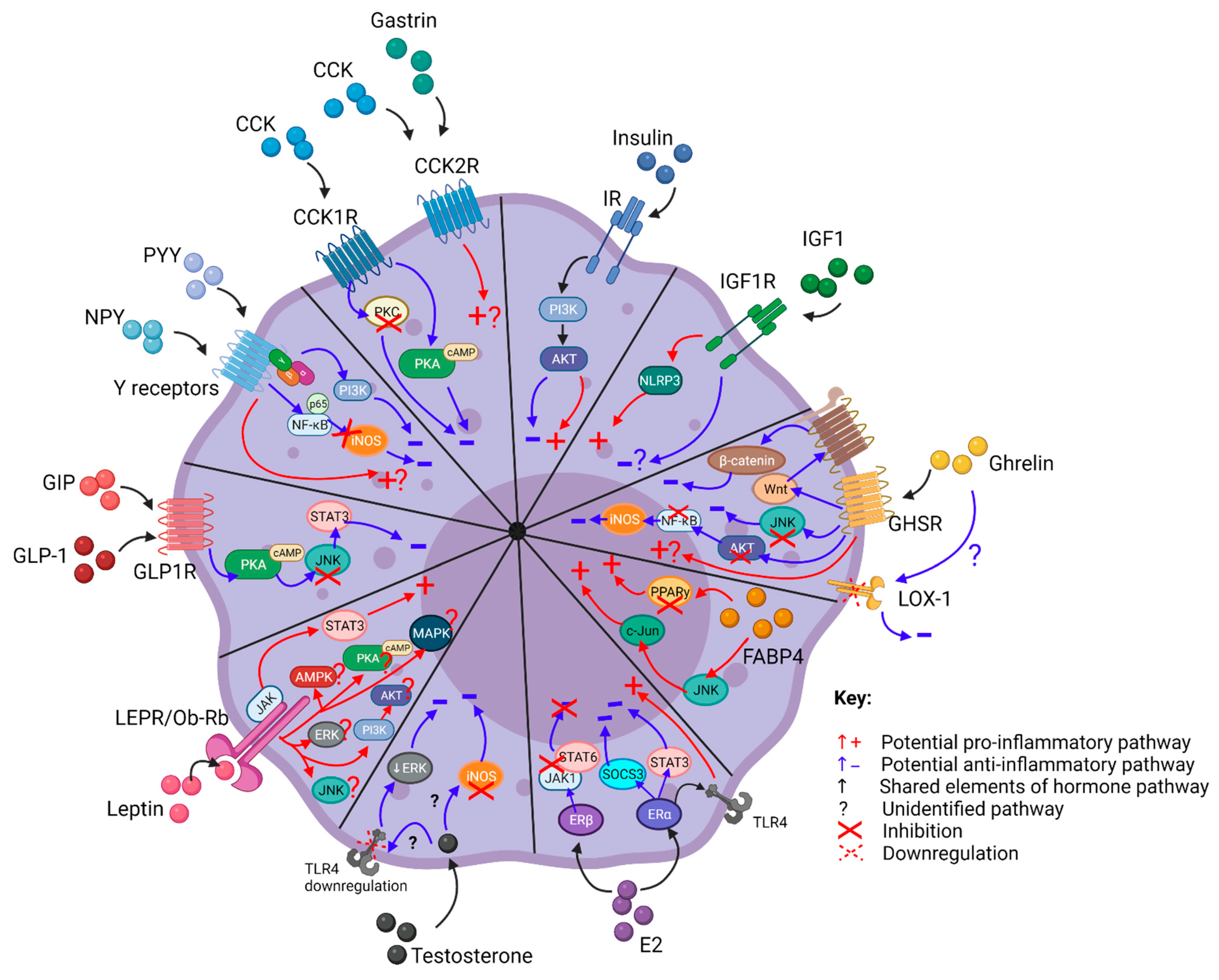 Cancers 13 04661 g003 Cancers 13 04661 g003