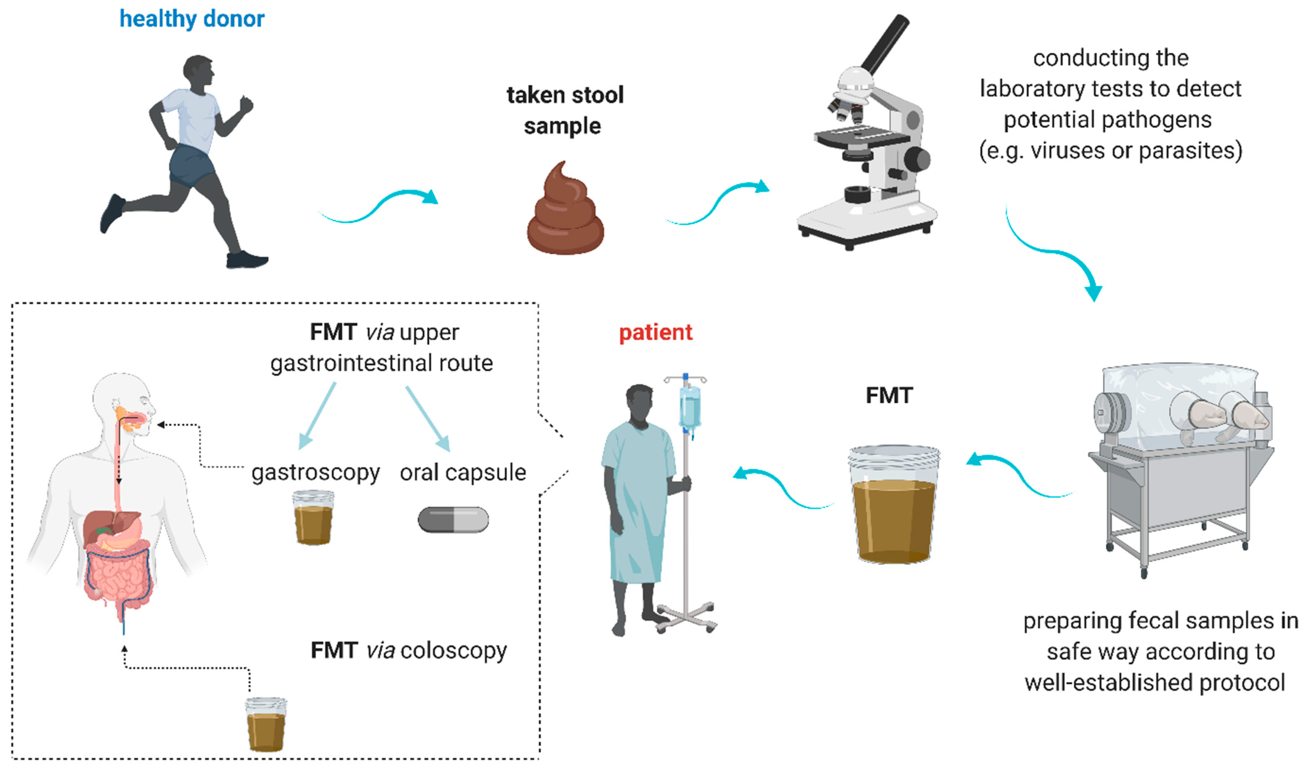 Cancers | free full-text | gut microbiome modulation and faecal
