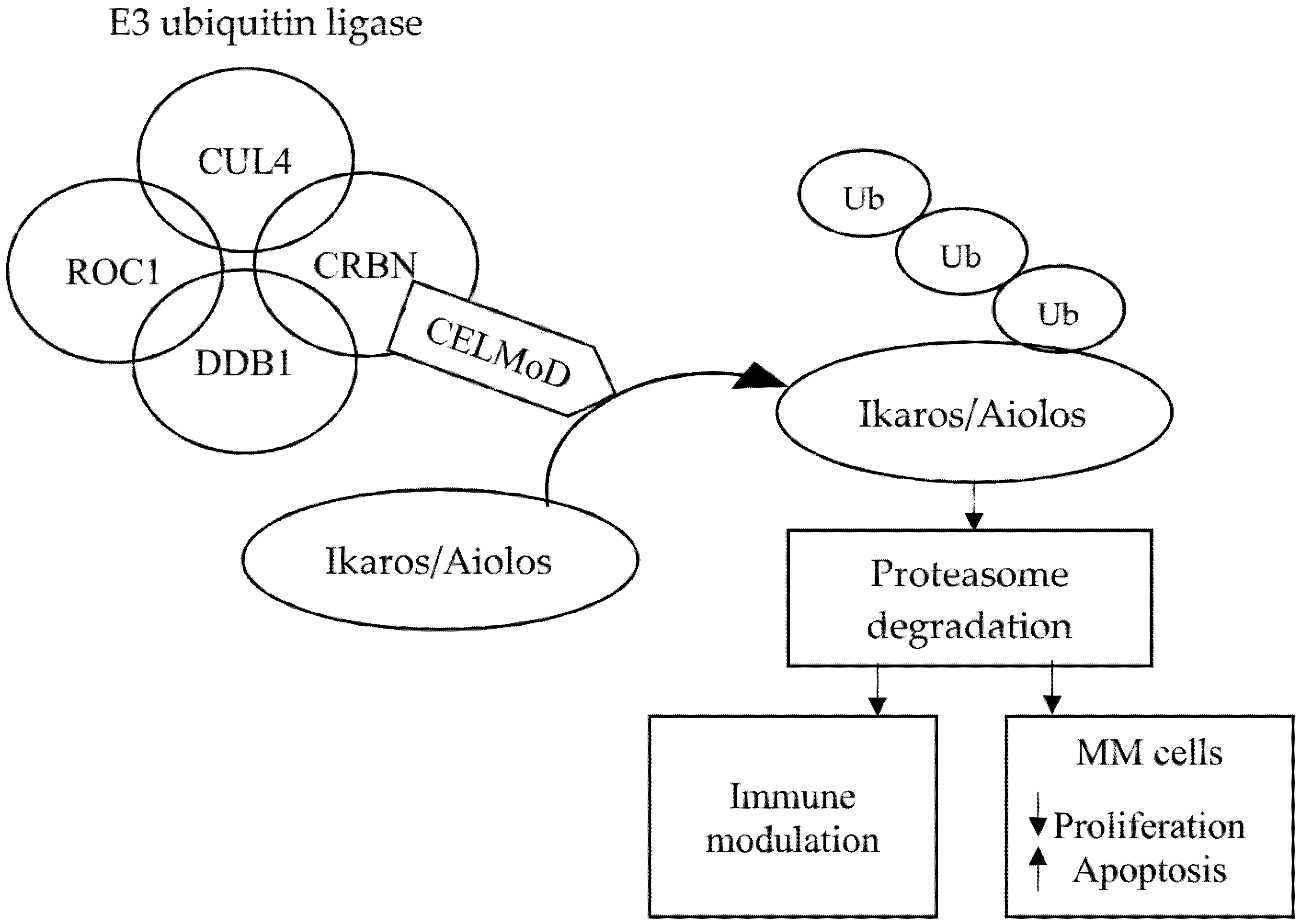 Cancers 13 04666 g003 Cancers 13 04666 g003