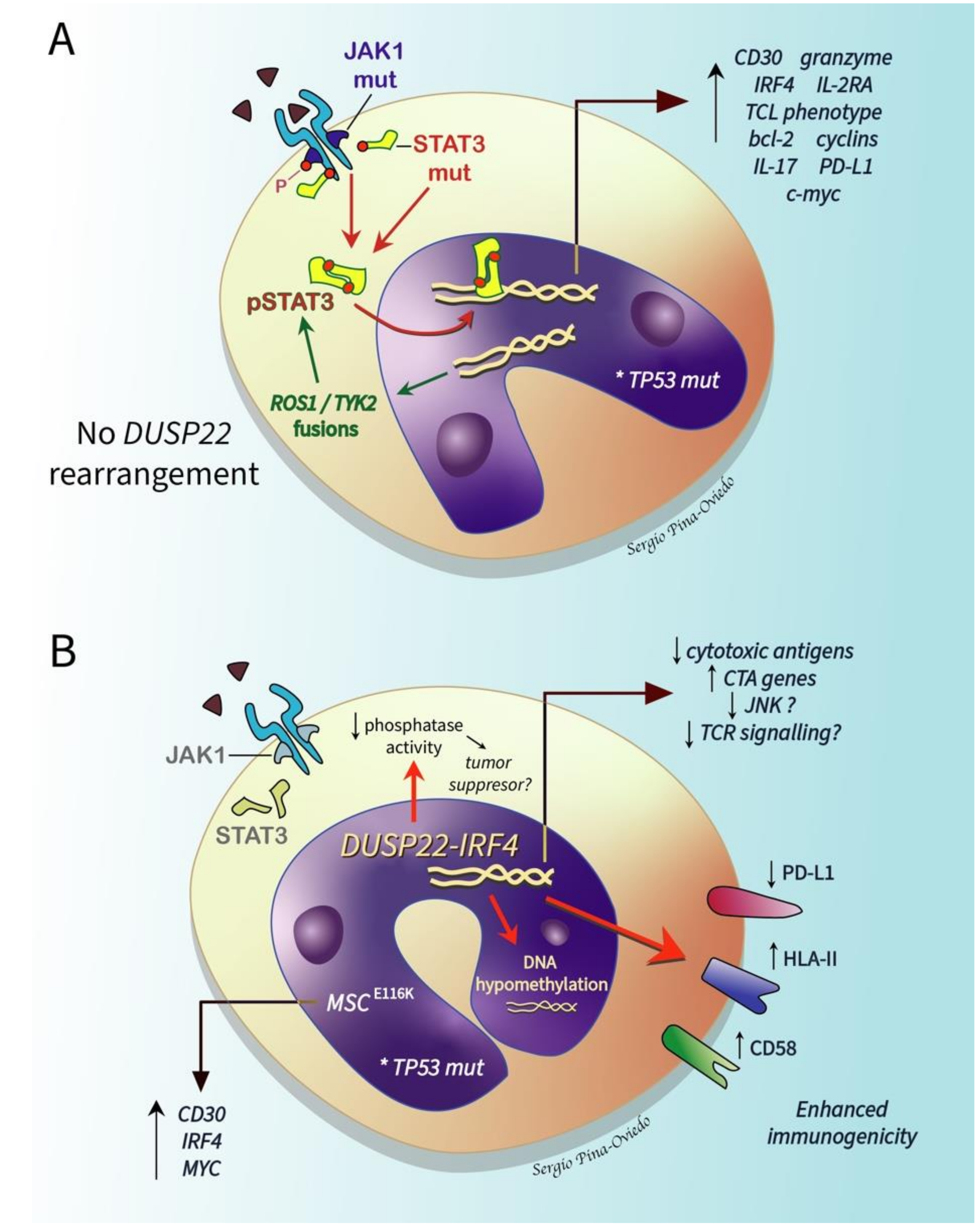 Cancers 13 04667 g009 Cancers 13 04667 g009