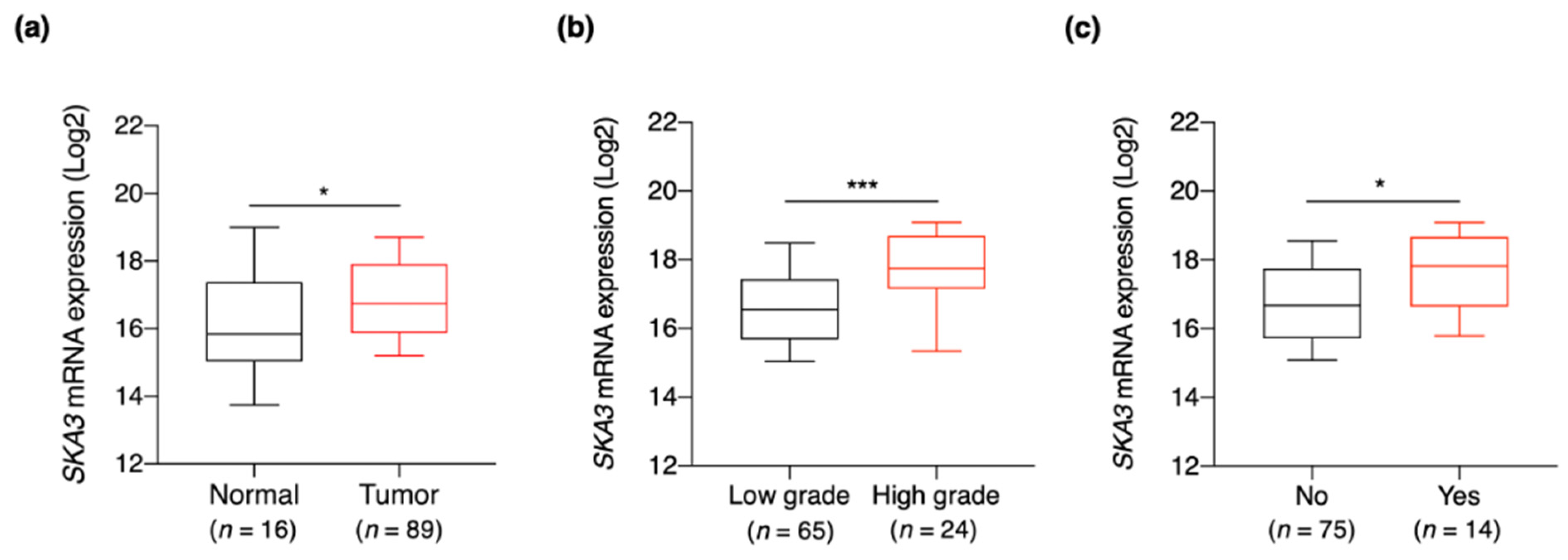 Cancers 13 04673 g003 Cancers 13 04673 g003