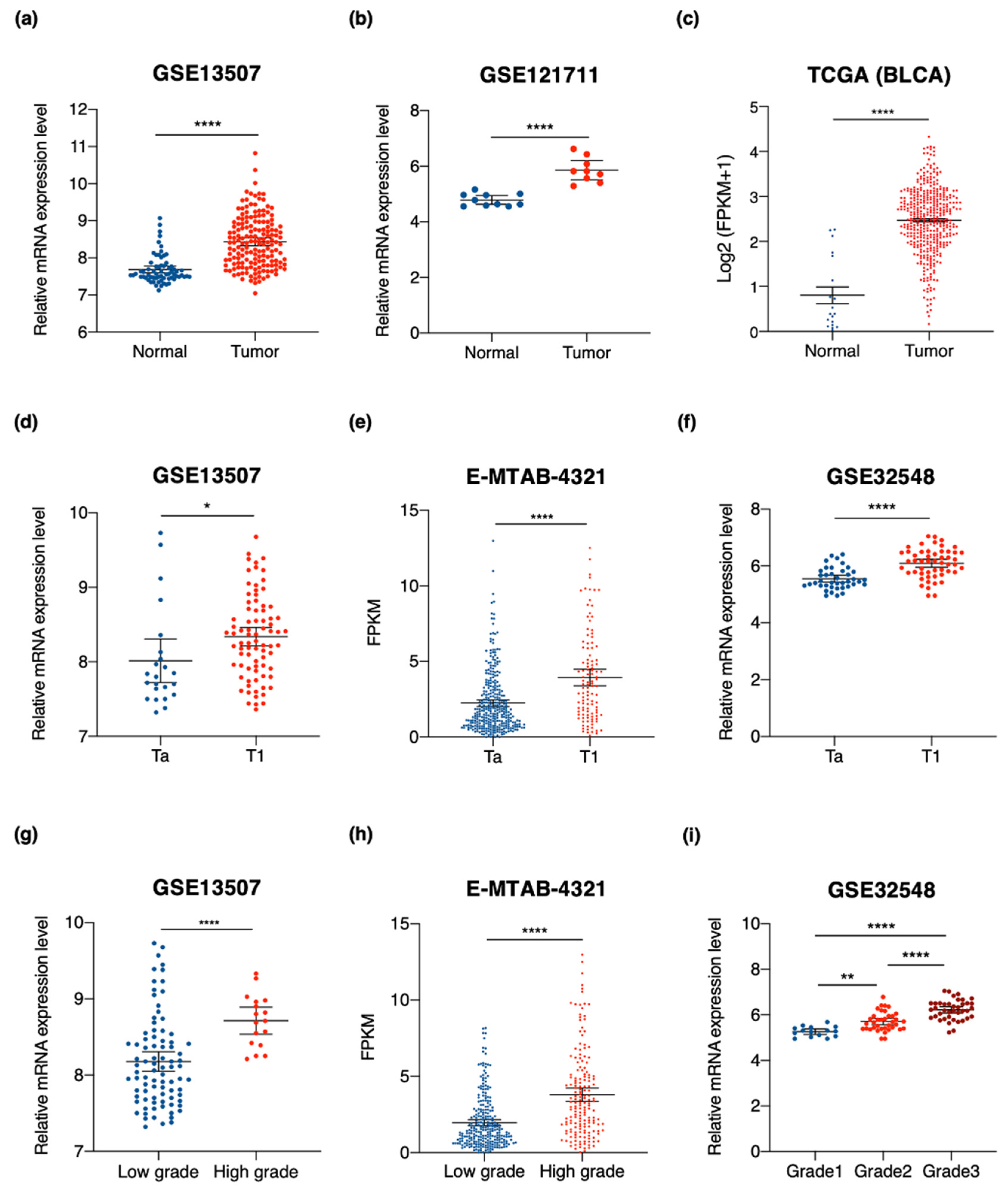 Cancers 13 04673 g004 Cancers 13 04673 g004