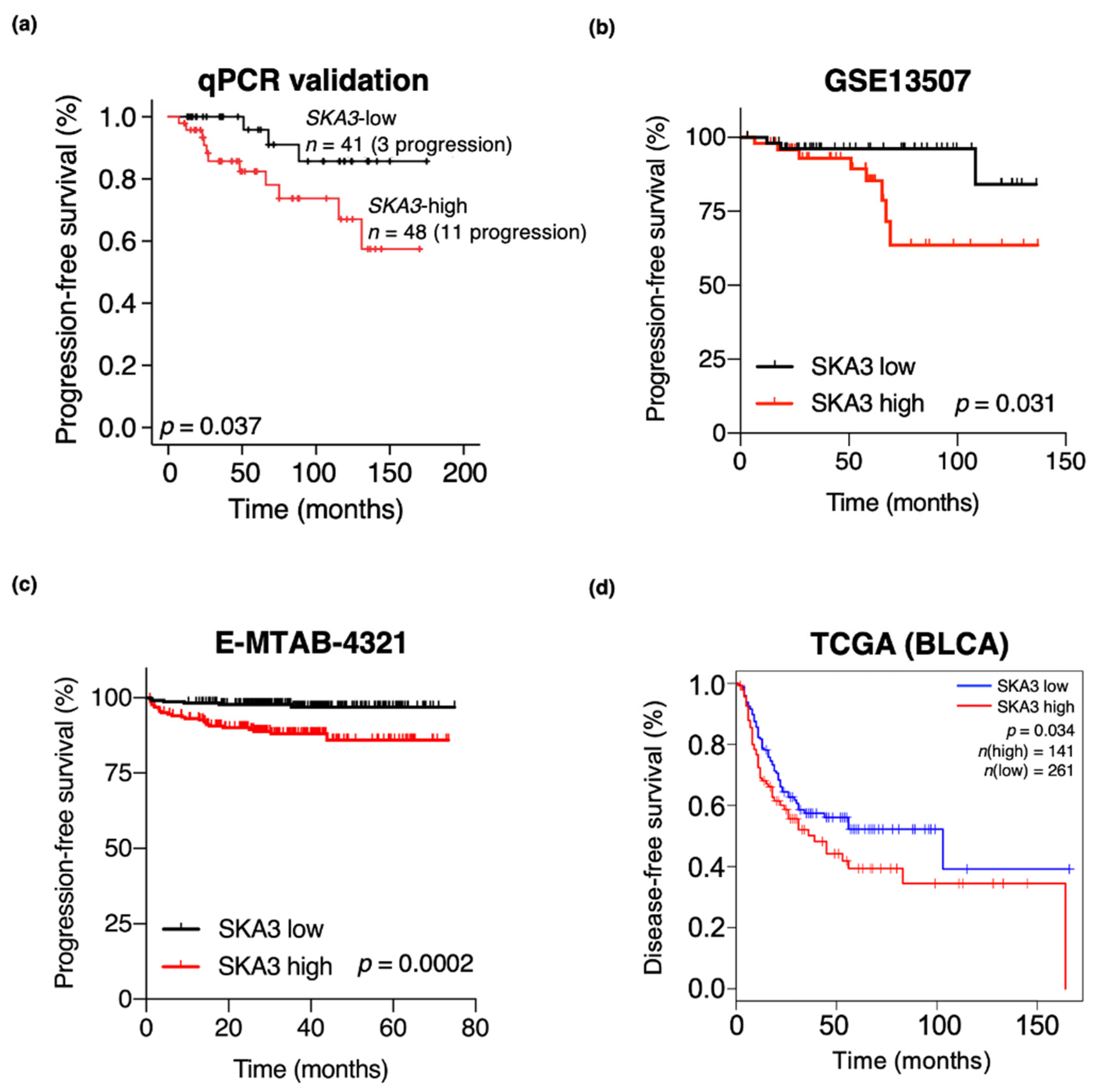 Cancers 13 04673 g005 Cancers 13 04673 g005