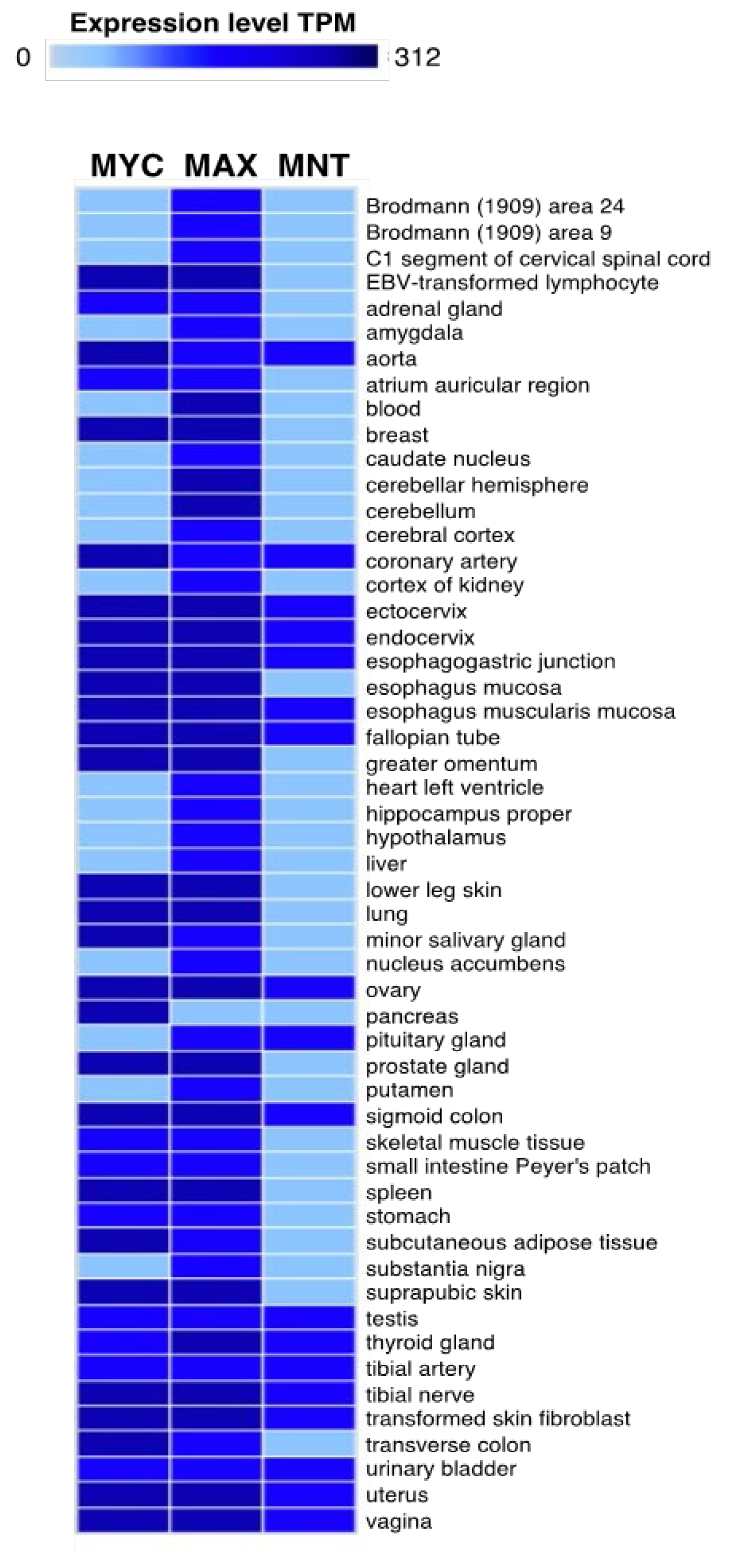 Cancers 13 04682 g002