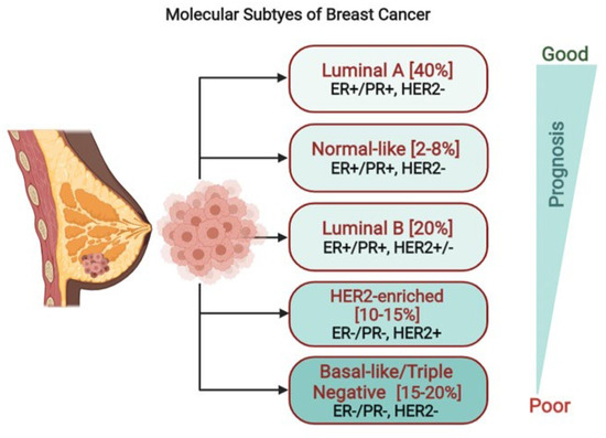 Cancers | Free Full-Text | Crosstalk between PRLR and EGFR/HER2 Signaling  Pathways in Breast Cancer