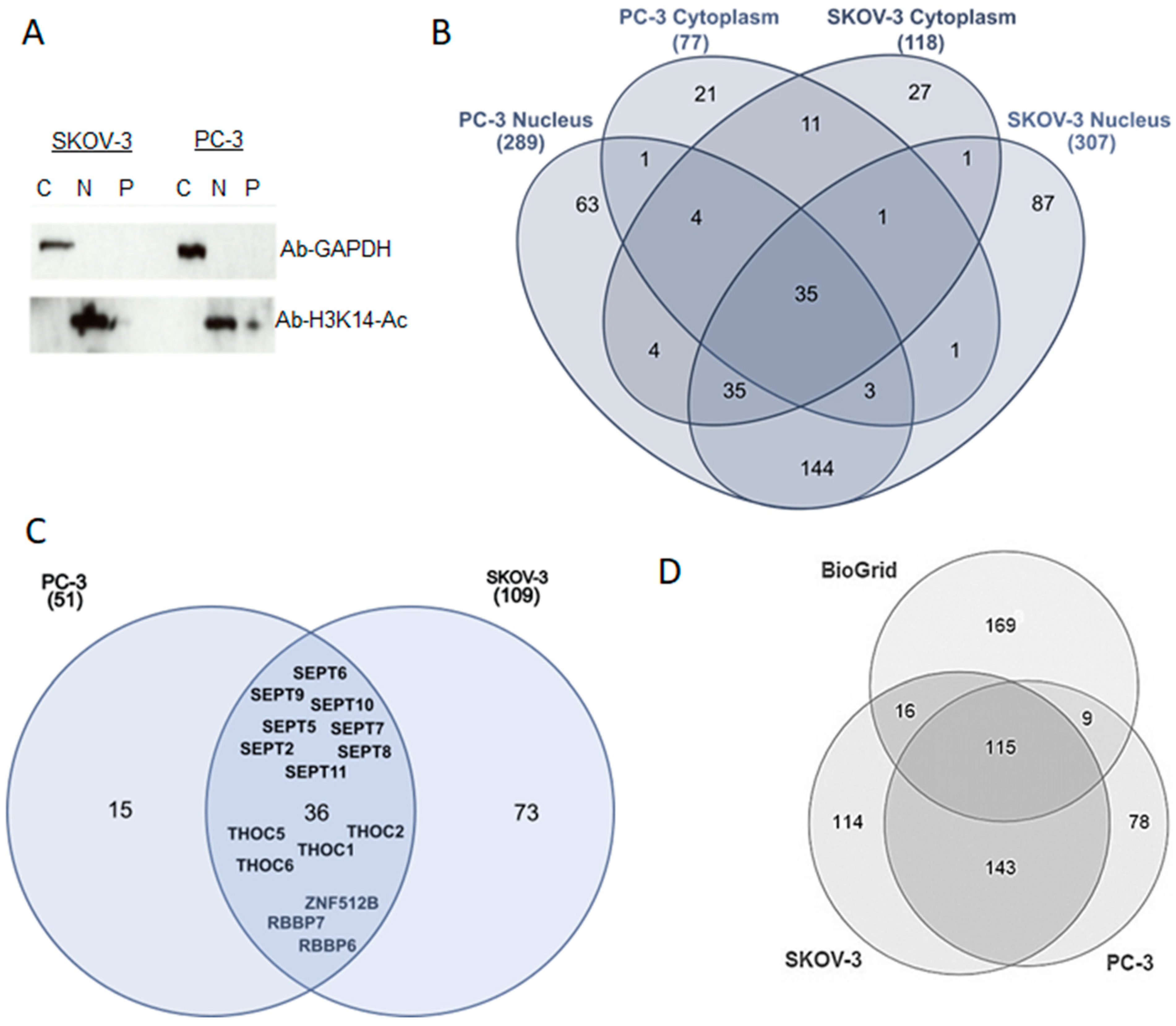 Cancers 13 04686 g001 Cancers 13 04686 g001