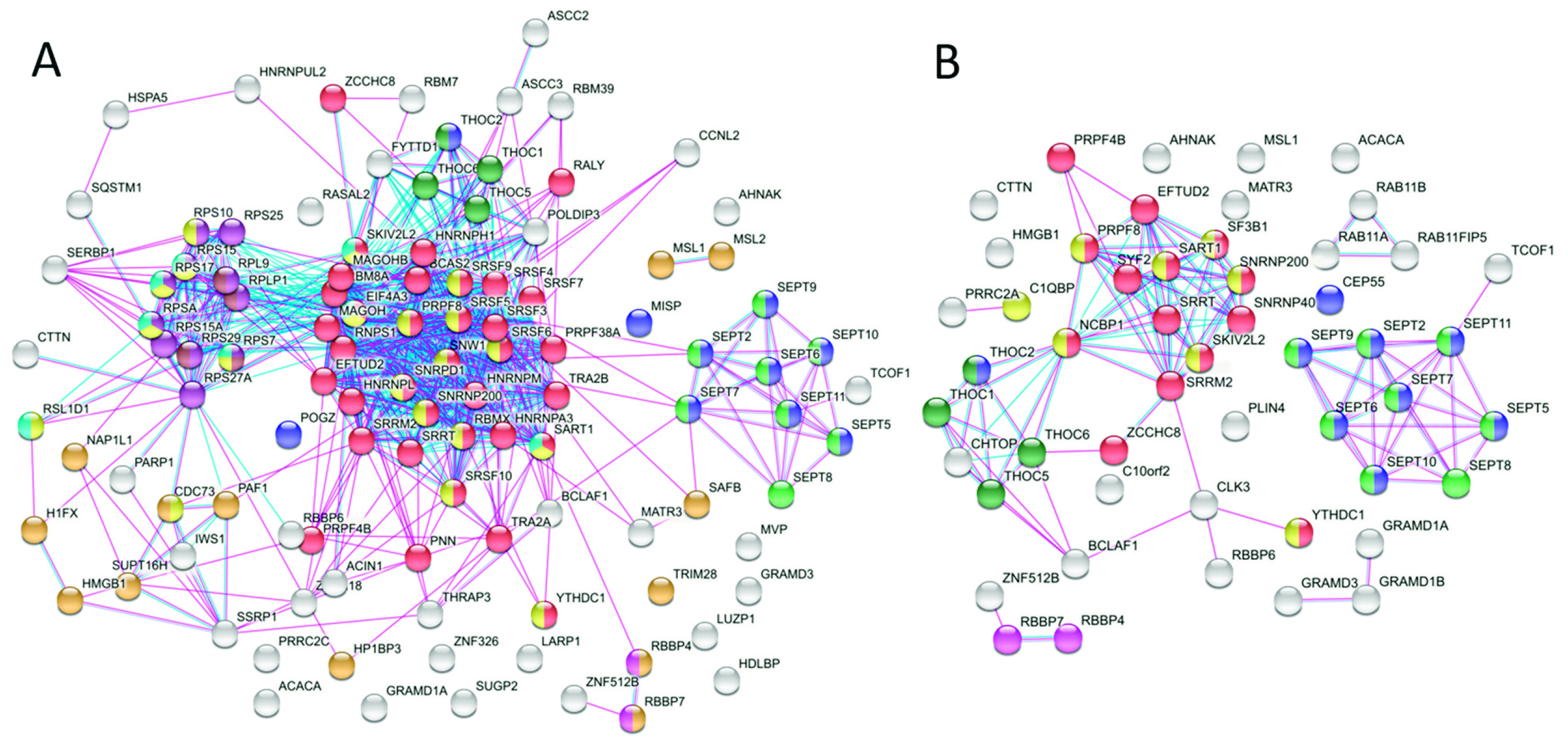Cancers 13 04686 g002 Cancers 13 04686 g002